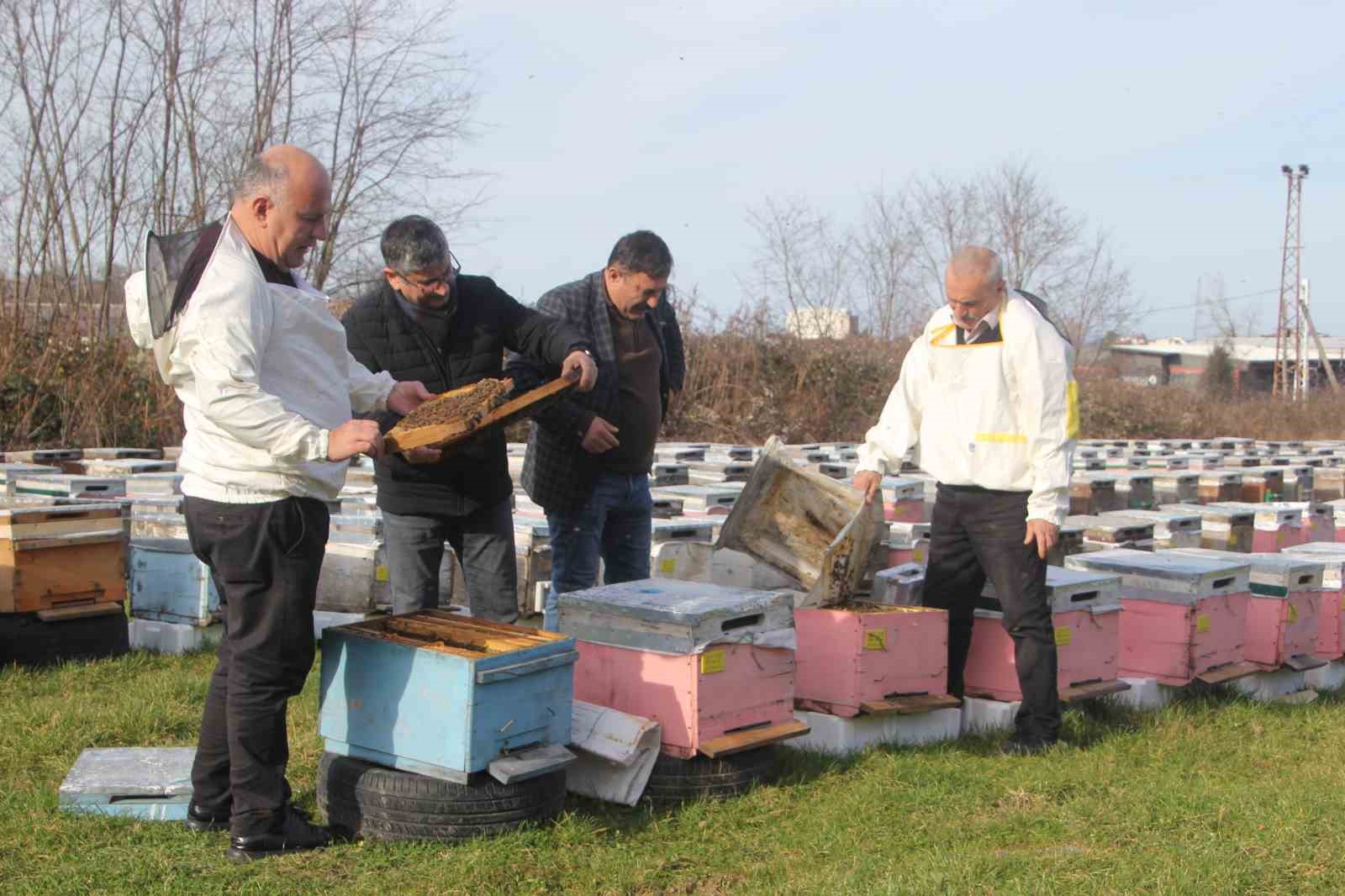 Türkiye’de en fazla bal üretiminin yapıldığı Ordu’da arıcılar sezona hazırlanıyor

