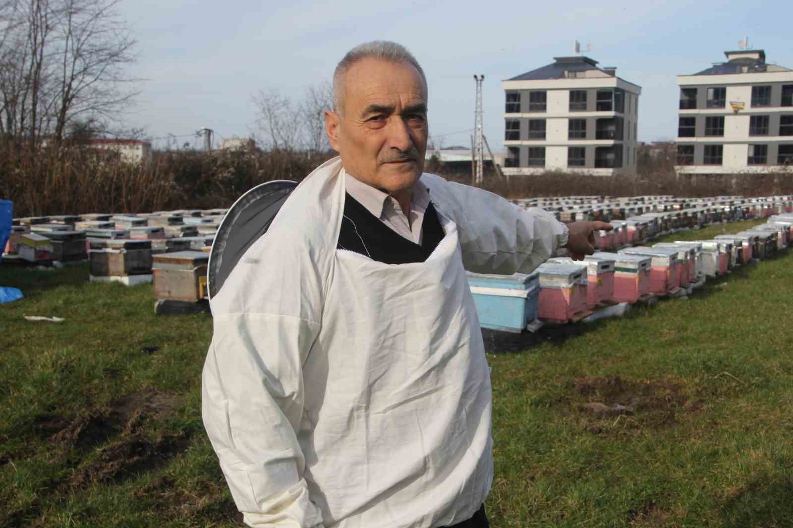 Türkiye’de en fazla bal üretiminin yapıldığı Ordu’da arıcılar sezona hazırlanıyor
