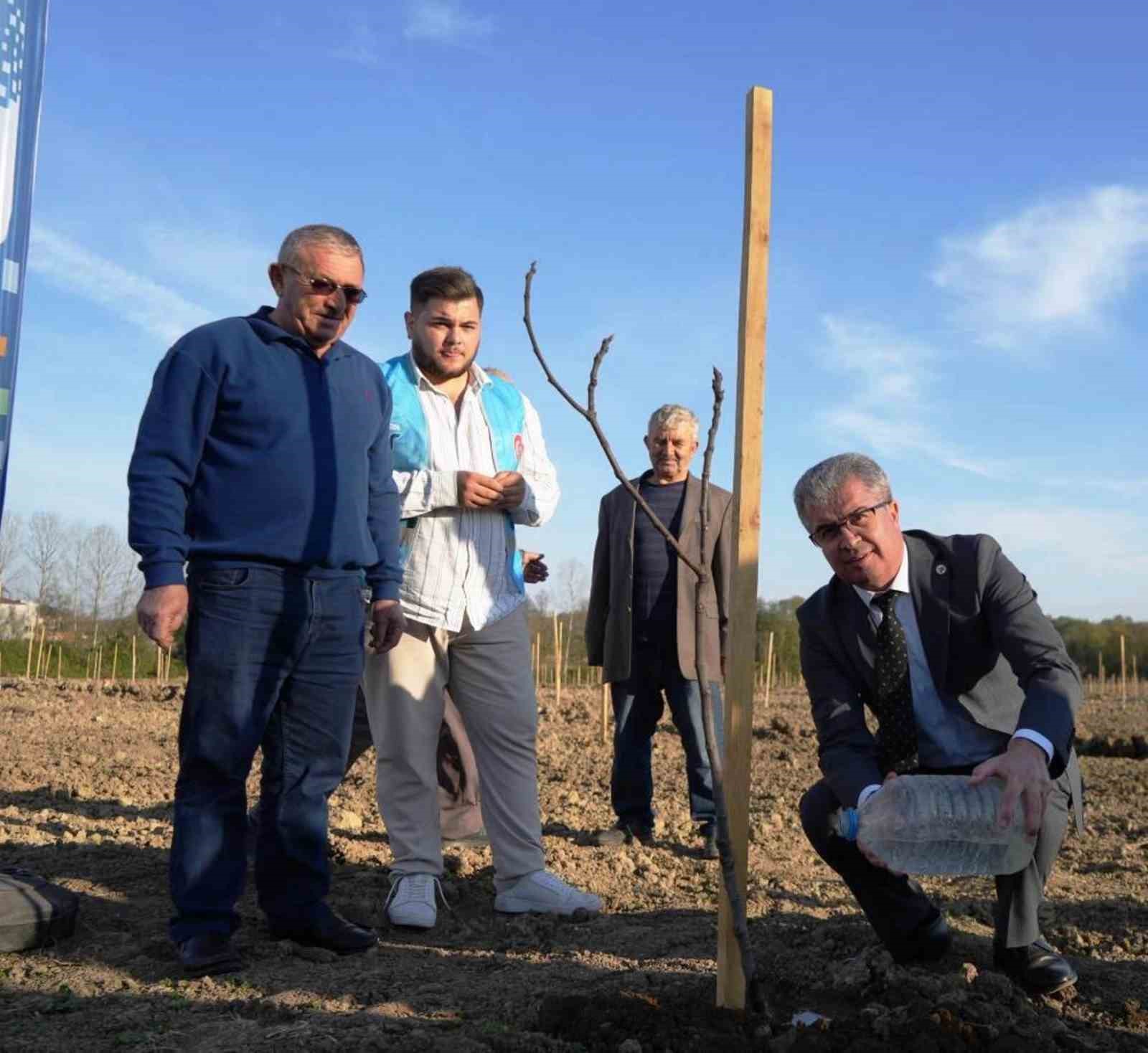 Türkiye’deki şehirler, Samsun’da üretilen fidanlarla yeşerdi
