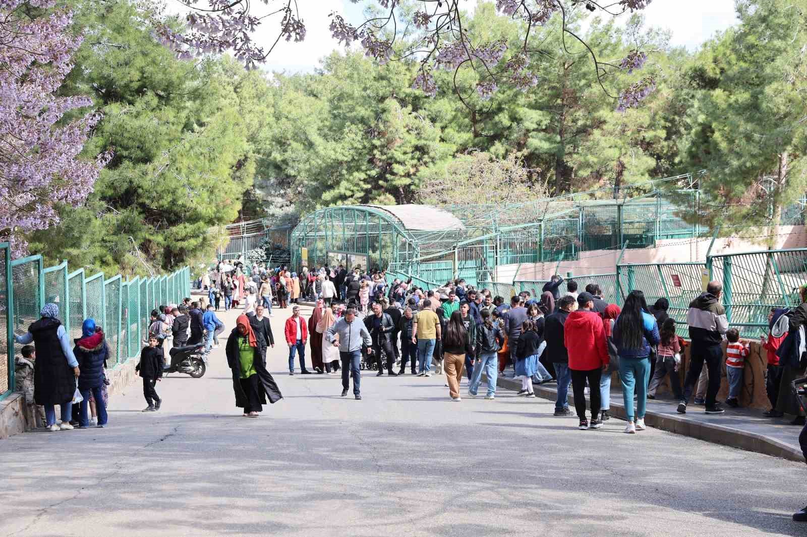 Türkiye’nin en büyük hayvanat bahçesi 2025’te ziyaretçi rekoru kırdı
