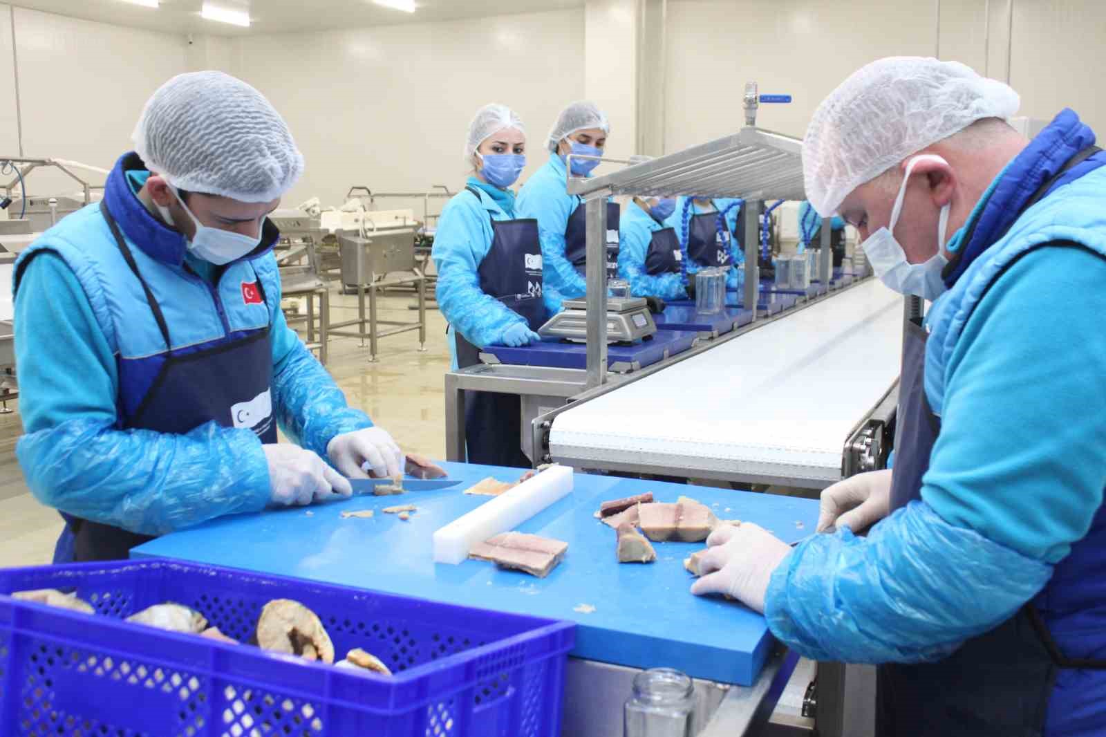 Türkiye’nin ilk coğrafi işaretli su ürünü olan Lakerda’nın üretimi başladı
Türkiye’nin ilk coğrafi işaretli su ürünü olan Lakerda’nın üretimi başladı