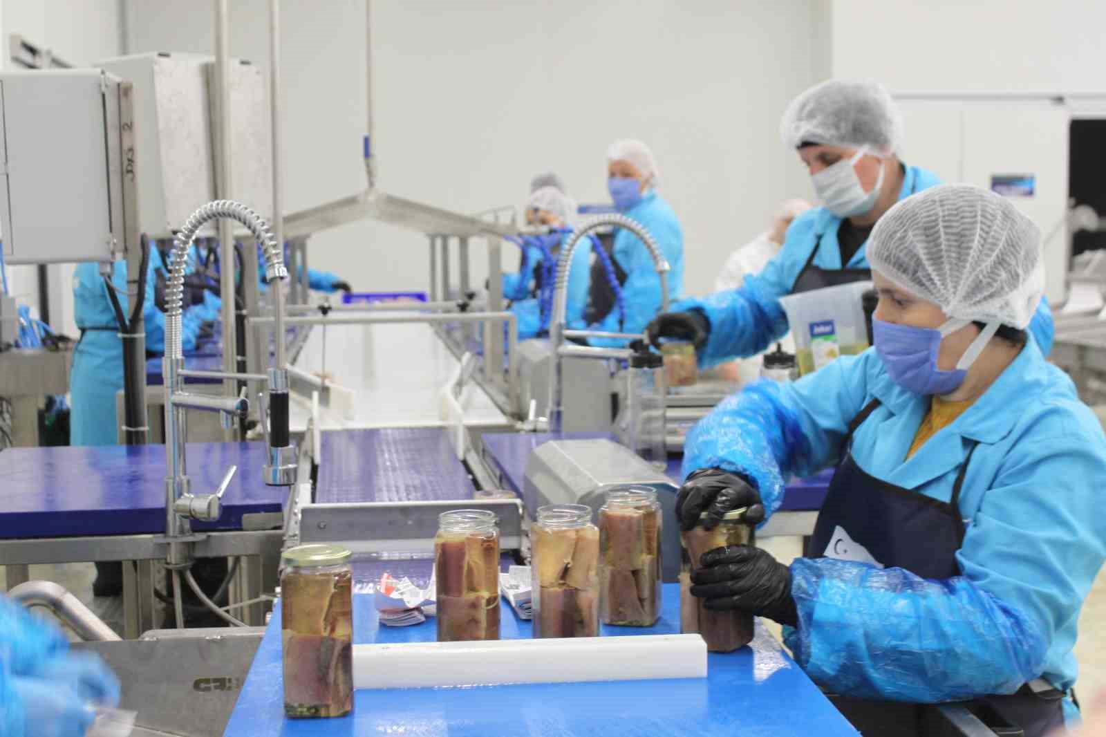 Türkiye’nin ilk coğrafi işaretli su ürünü olan Lakerda’nın üretimi başladı
Türkiye’nin ilk coğrafi işaretli su ürünü olan Lakerda’nın üretimi başladı