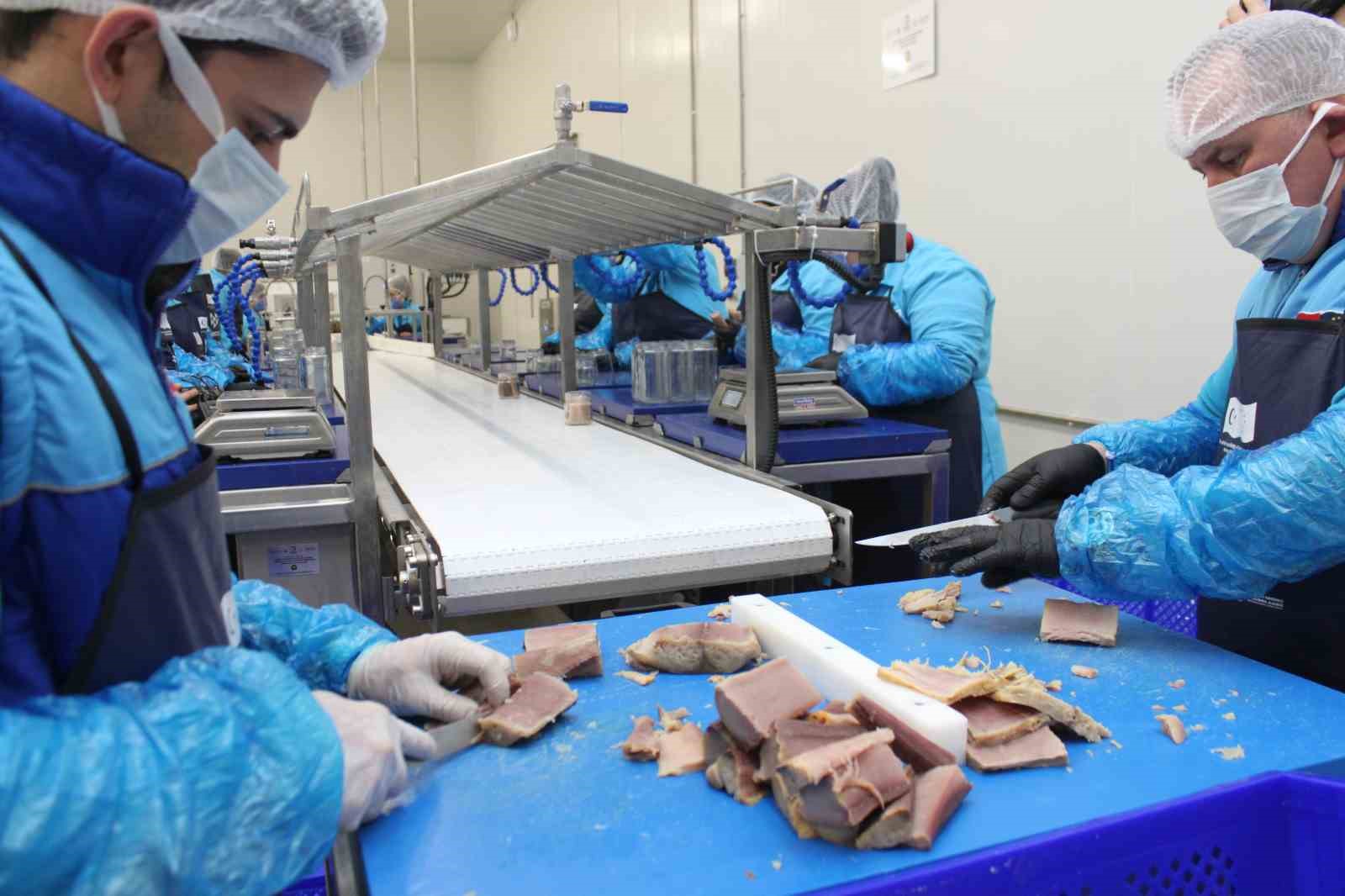 Türkiye’nin ilk coğrafi işaretli su ürünü olan Lakerda’nın üretimi başladı
Türkiye’nin ilk coğrafi işaretli su ürünü olan Lakerda’nın üretimi başladı