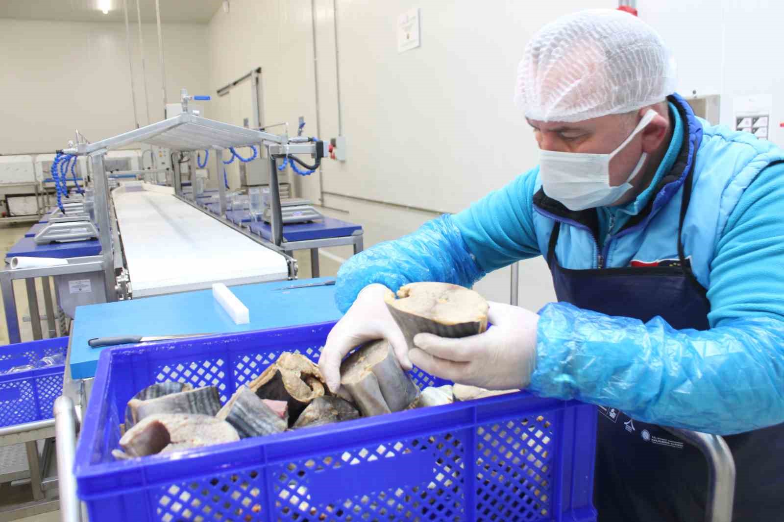 Türkiye’nin ilk coğrafi işaretli su ürünü olan Lakerda’nın üretimi başladı
Türkiye’nin ilk coğrafi işaretli su ürünü olan Lakerda’nın üretimi başladı