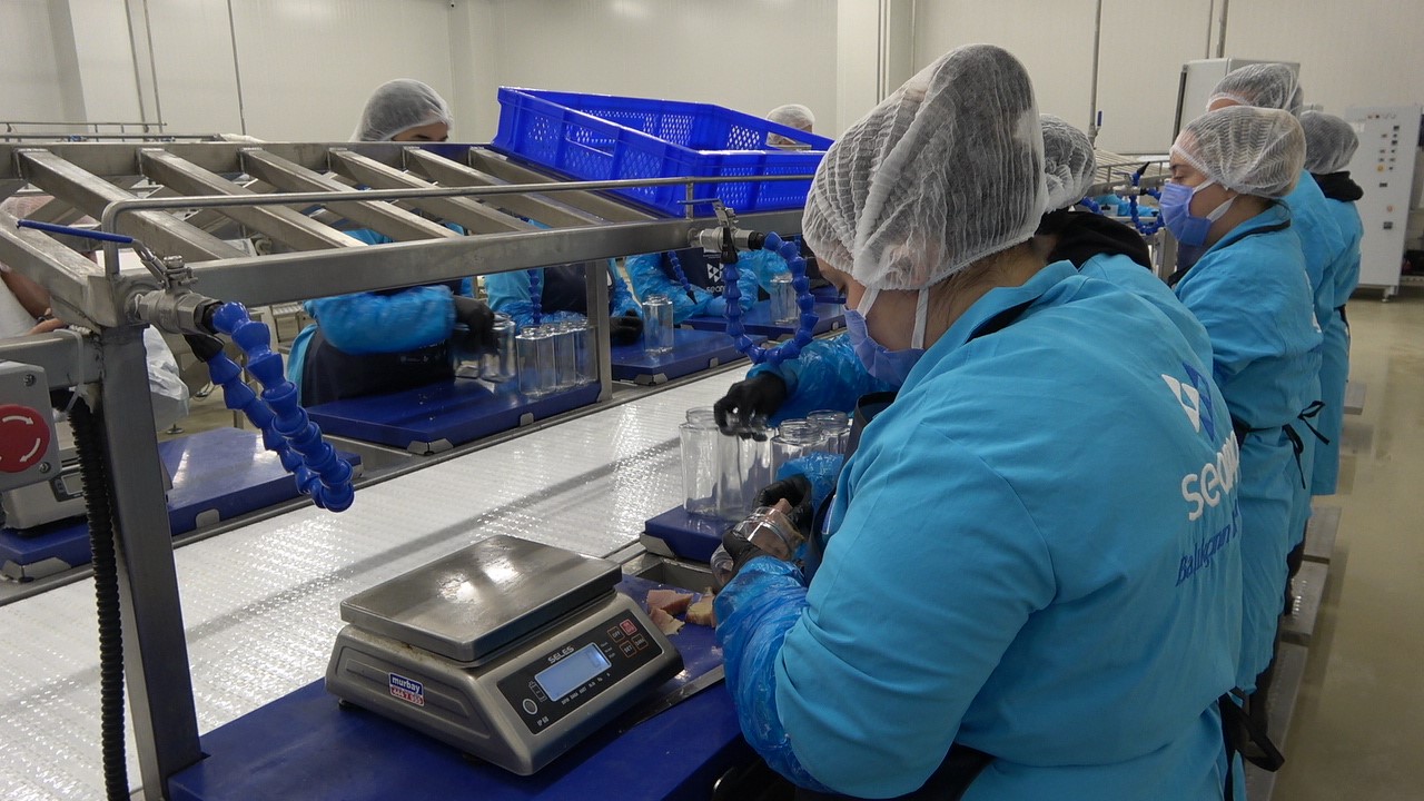 Türkiye’nin ilk coğrafi işaretli su ürünü olan Lakerda’nın üretimi başladı
Türkiye’nin ilk coğrafi işaretli su ürünü olan Lakerda’nın üretimi başladı