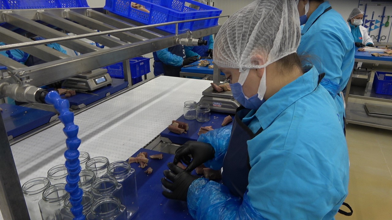 Türkiye’nin ilk coğrafi işaretli su ürünü olan Lakerda’nın üretimi başladı
Türkiye’nin ilk coğrafi işaretli su ürünü olan Lakerda’nın üretimi başladı