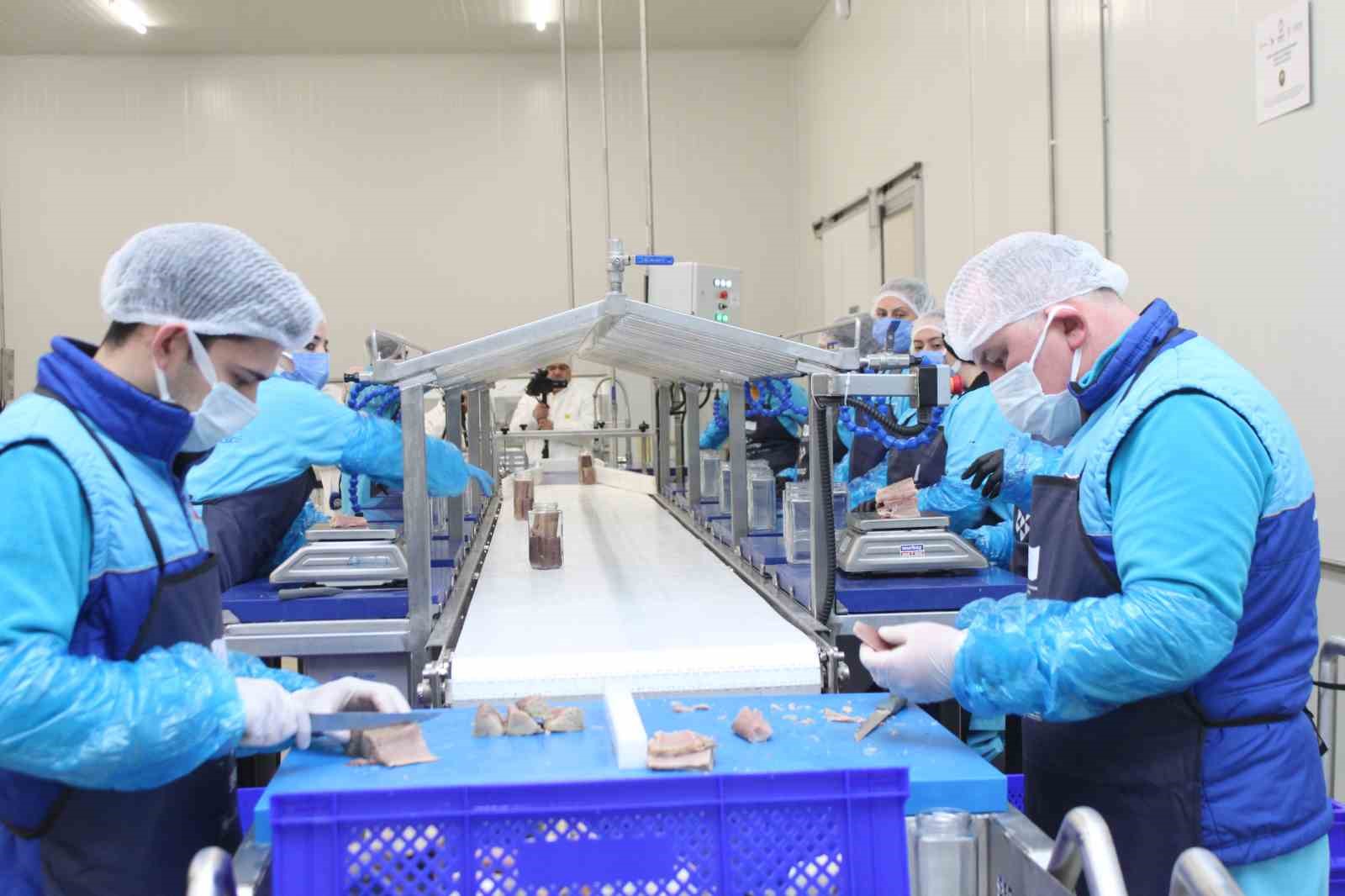 Türkiye’nin ilk coğrafi işaretli su ürünü olan Lakerda’nın üretimi başladı
Türkiye’nin ilk coğrafi işaretli su ürünü olan Lakerda’nın üretimi başladı