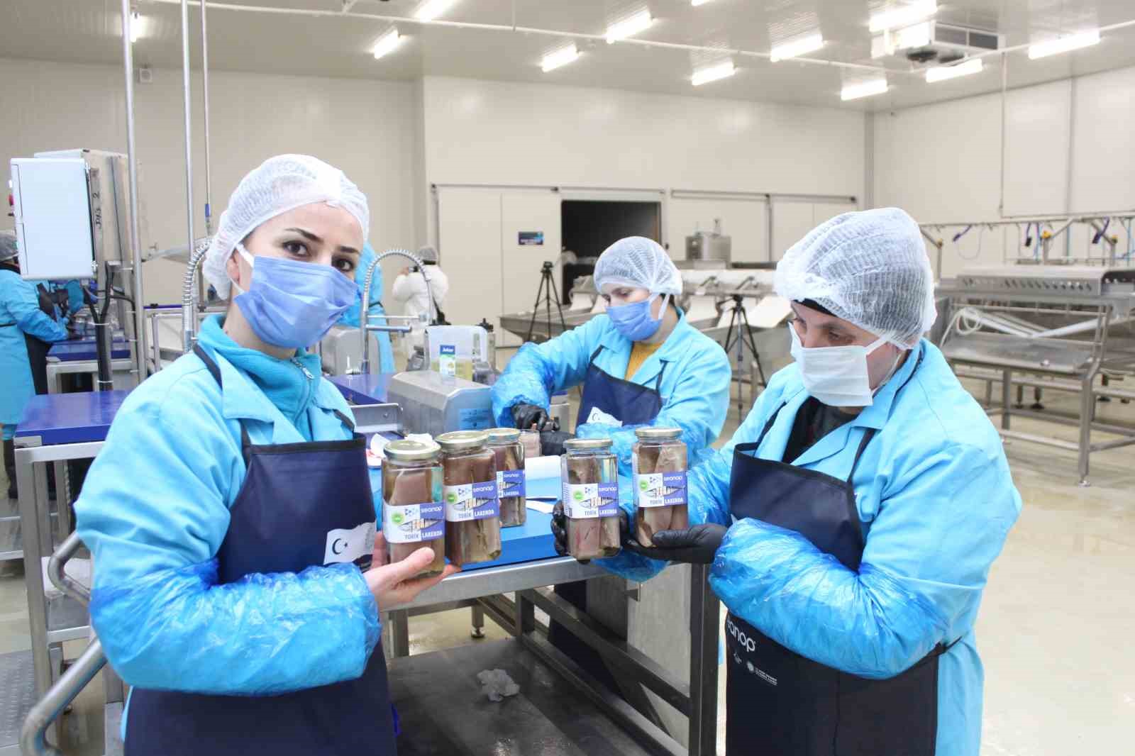 Türkiye’nin ilk coğrafi işaretli su ürünü olan Lakerda’nın üretimi başladı
Türkiye’nin ilk coğrafi işaretli su ürünü olan Lakerda’nın üretimi başladı