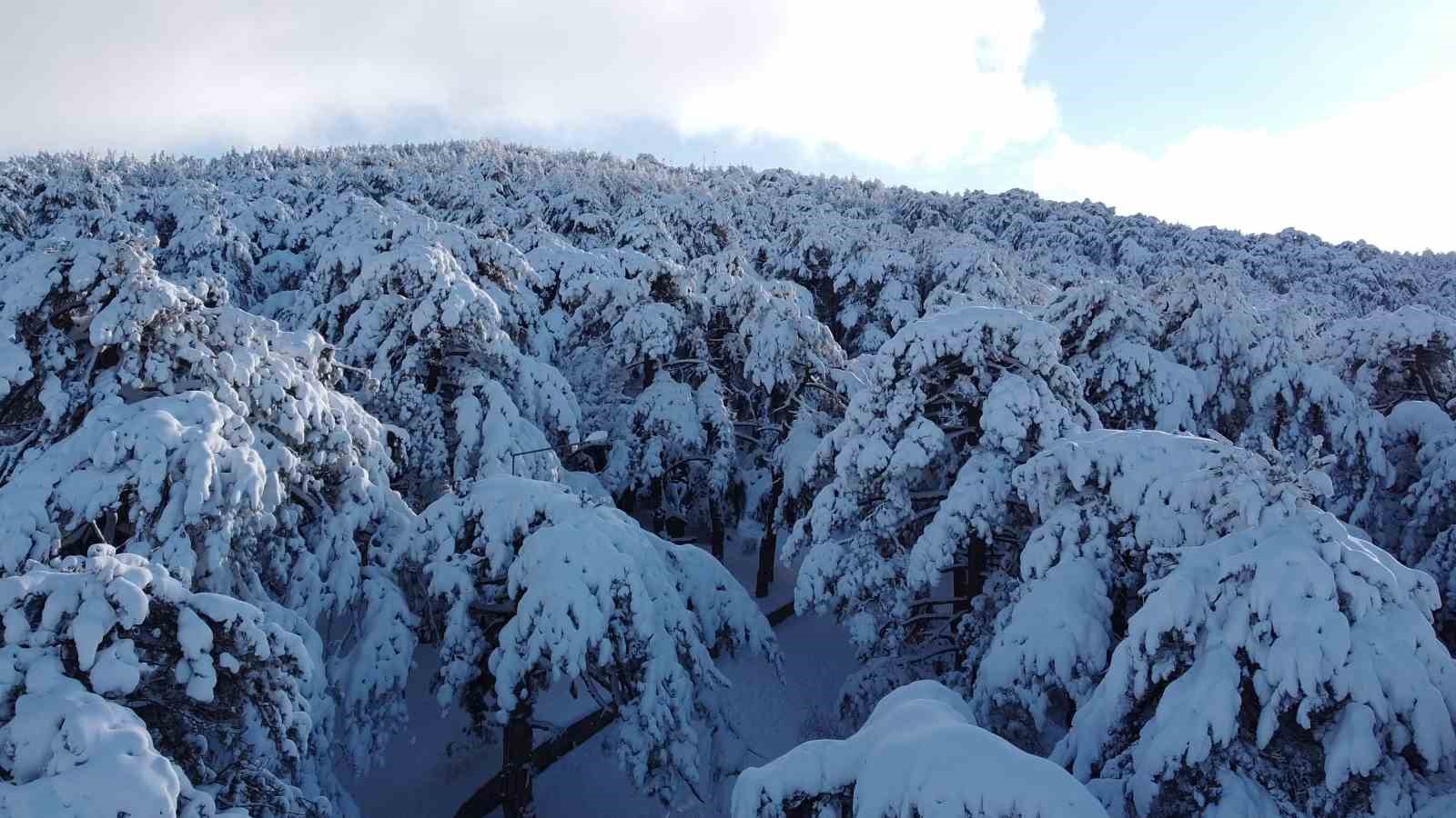 Türkiye’nin ilk Milli Parkı Çamlık’ta kar manzarası havadan görüntülendi
