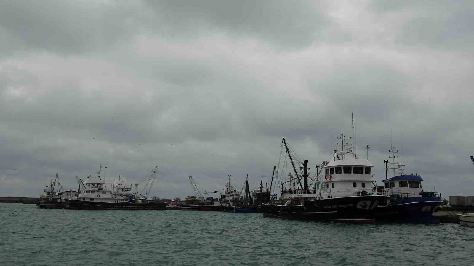 Türkiye’yi terk eden hamsinin yolu gözleniyor
