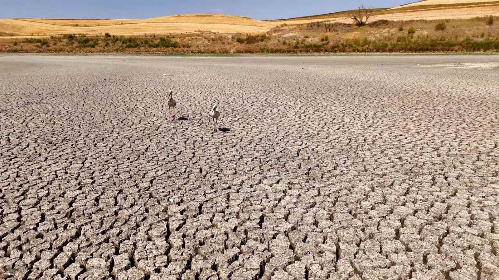 Türkmenli Göleti’nde algasid dozlama ile su kalitesi artırılıyor
