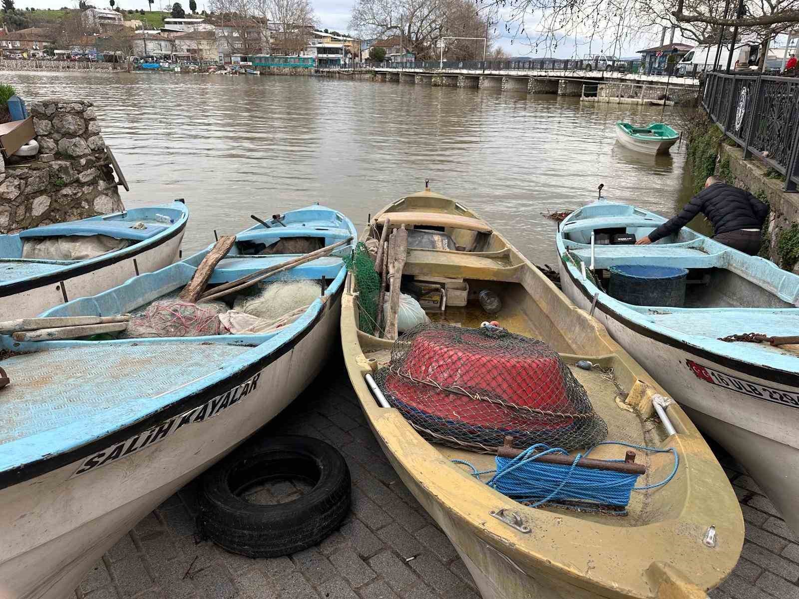 Turna severlere Uluabat Gölü’nden güzel haber
