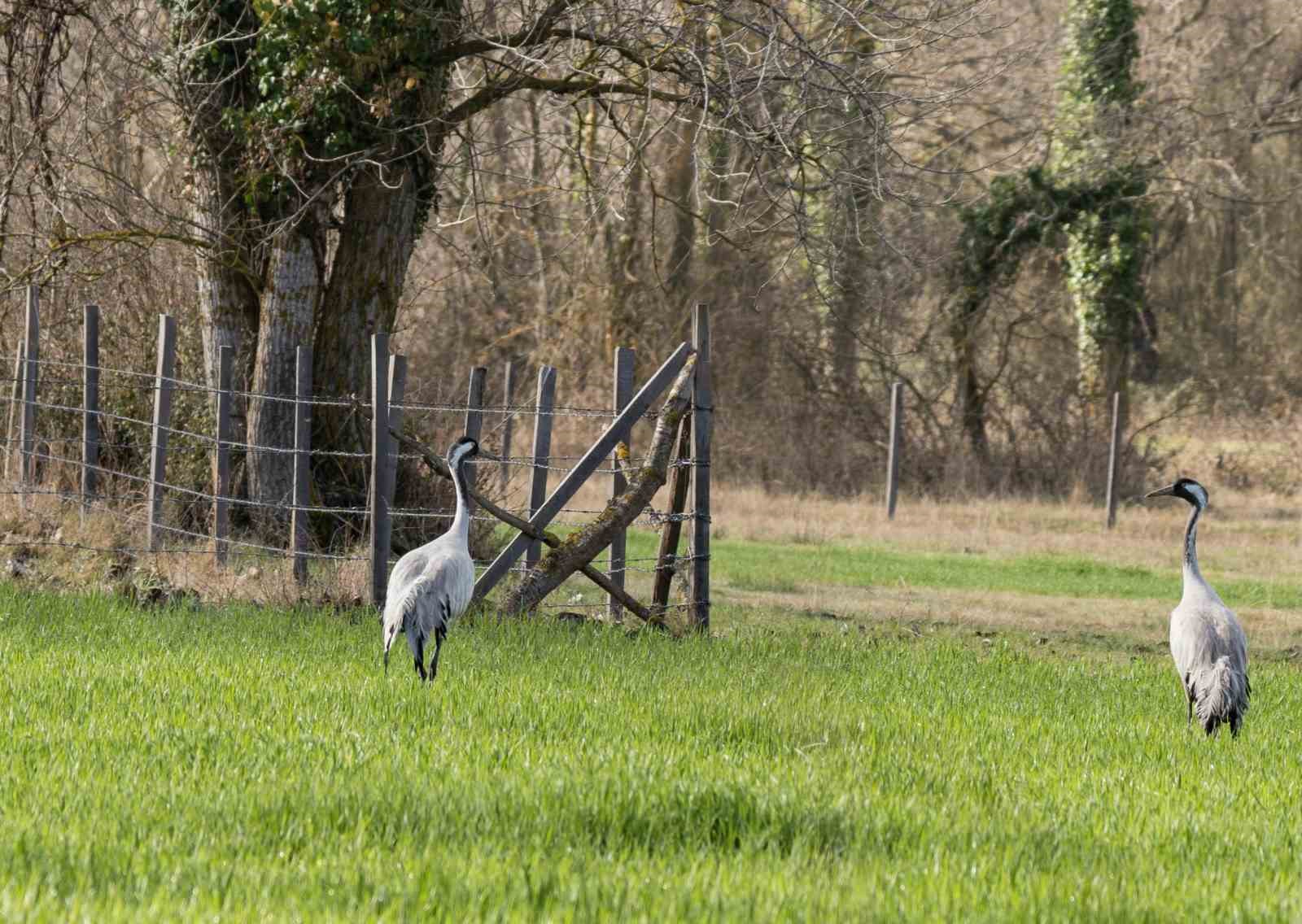 Turnaların izinde: 2026 izleme çalışmaları sürüyor
