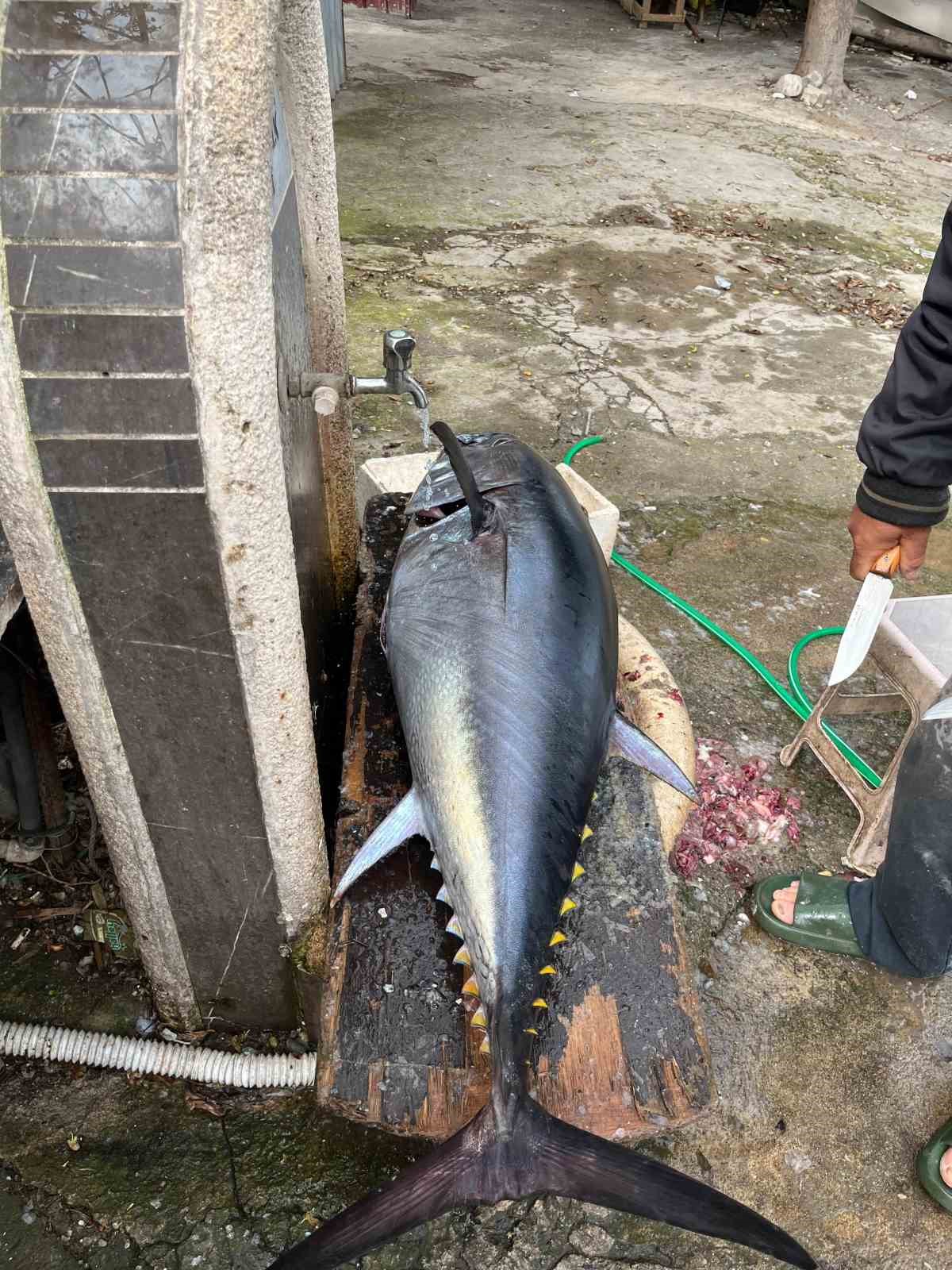 Tuttuğu devasa balıkla sevinç yaşayan öğretmenin mutluluğu yazılan cezayla yarıda kaldı
