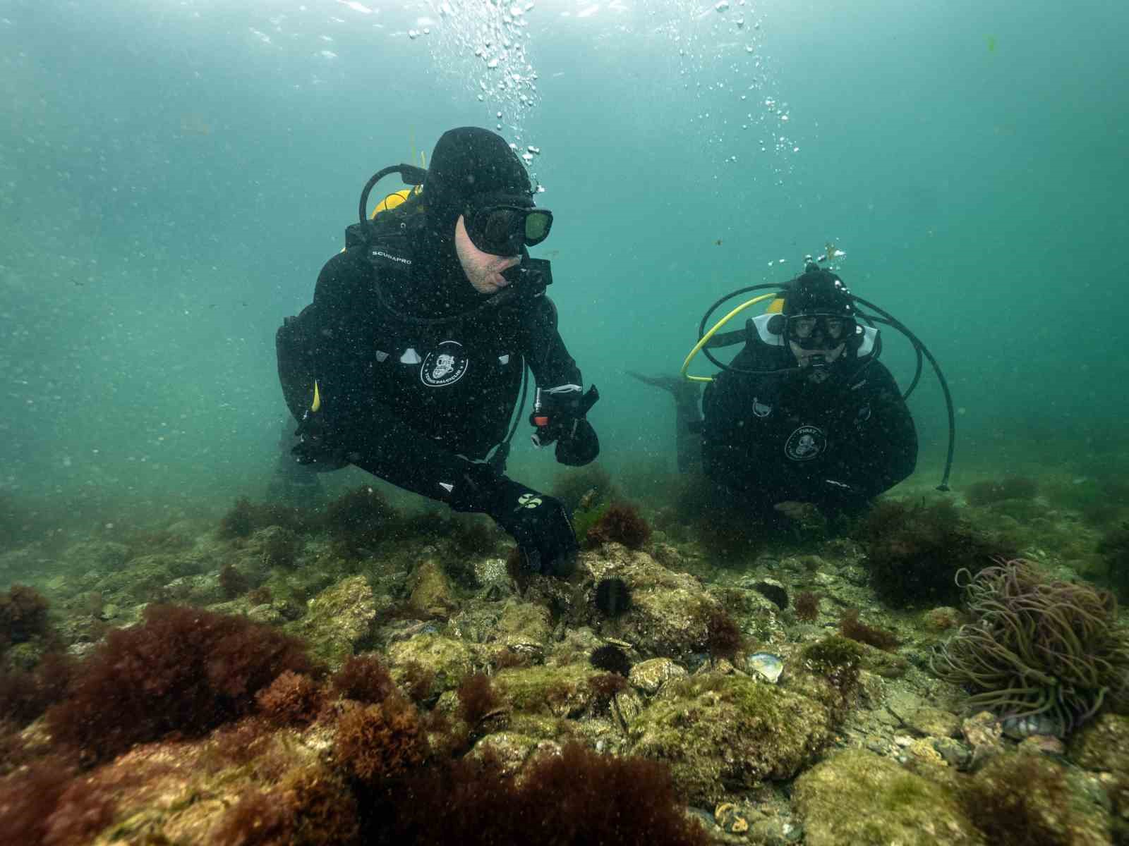 Tuzla Marmara Denizi’ne bir kez daha umut oldu
