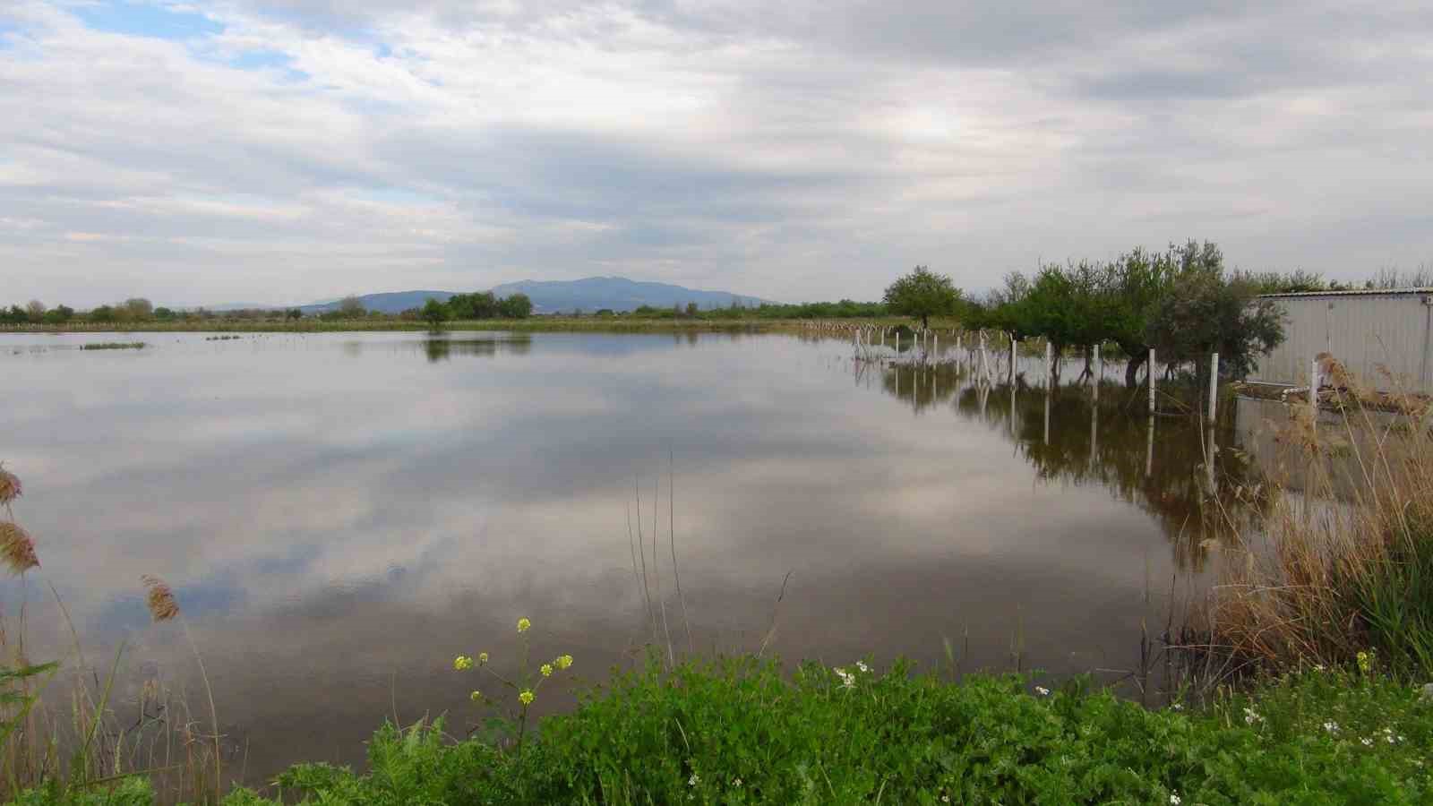 TZOB Genel Başkanı Bayraktar, Manisa’da su altında kalan tarım arazilerini inceledi, destek çağrısı yaptı
TZOB Genel Başkanı Bayraktar, Manisa’da su altında kalan tarım arazilerini inceledi, destek çağrısı yaptı