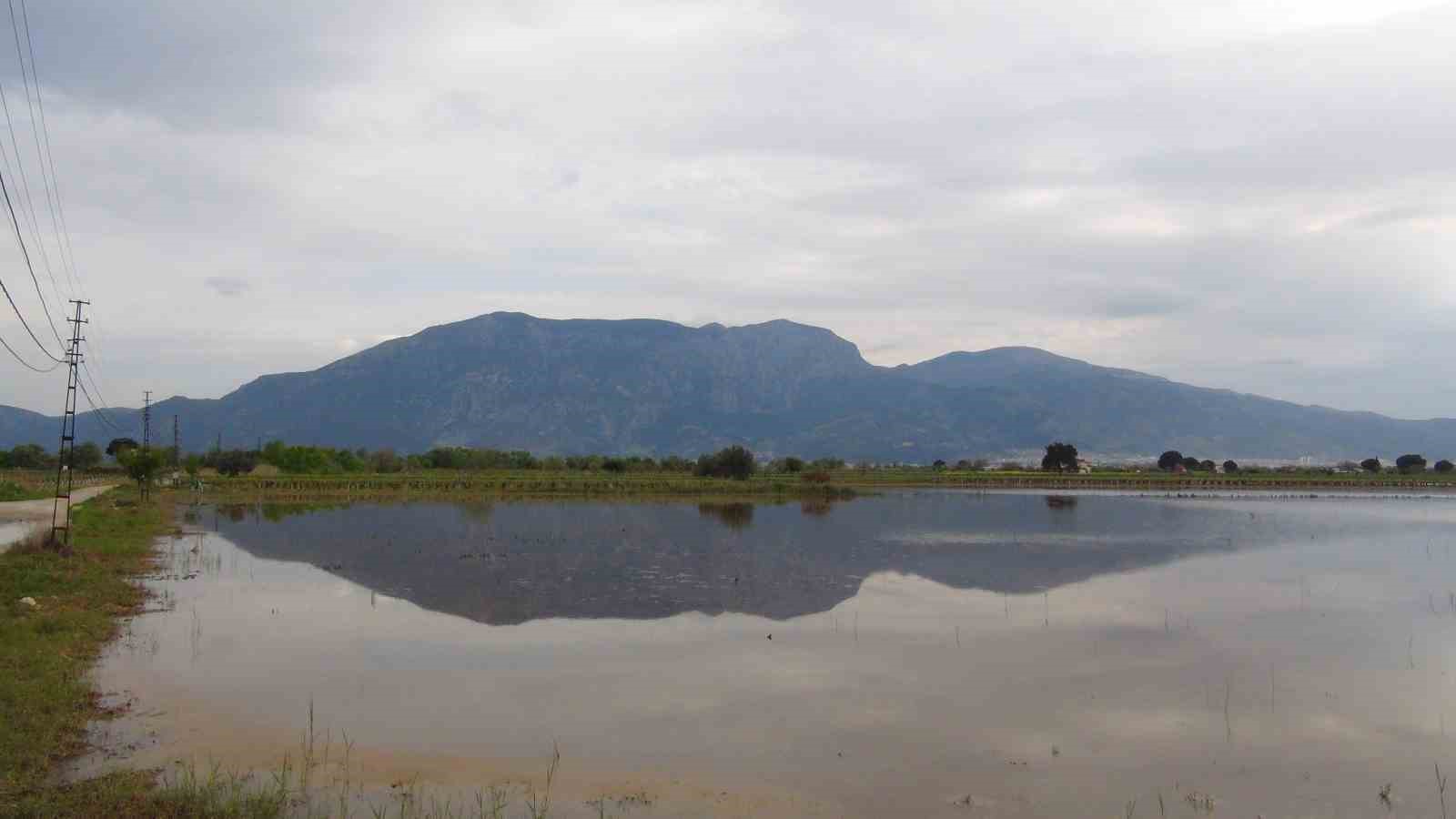 TZOB Genel Başkanı Bayraktar, Manisa’da su altında kalan tarım arazilerini inceledi, destek çağrısı yaptı
TZOB Genel Başkanı Bayraktar, Manisa’da su altında kalan tarım arazilerini inceledi, destek çağrısı yaptı