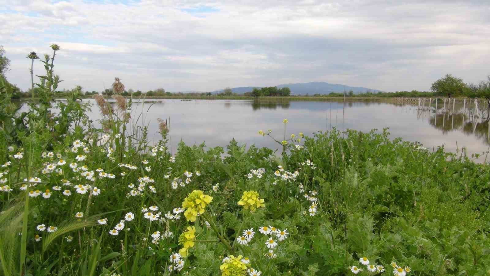 TZOB Genel Başkanı Bayraktar, Manisa’da su altında kalan tarım arazilerini inceledi, destek çağrısı yaptı
TZOB Genel Başkanı Bayraktar, Manisa’da su altında kalan tarım arazilerini inceledi, destek çağrısı yaptı