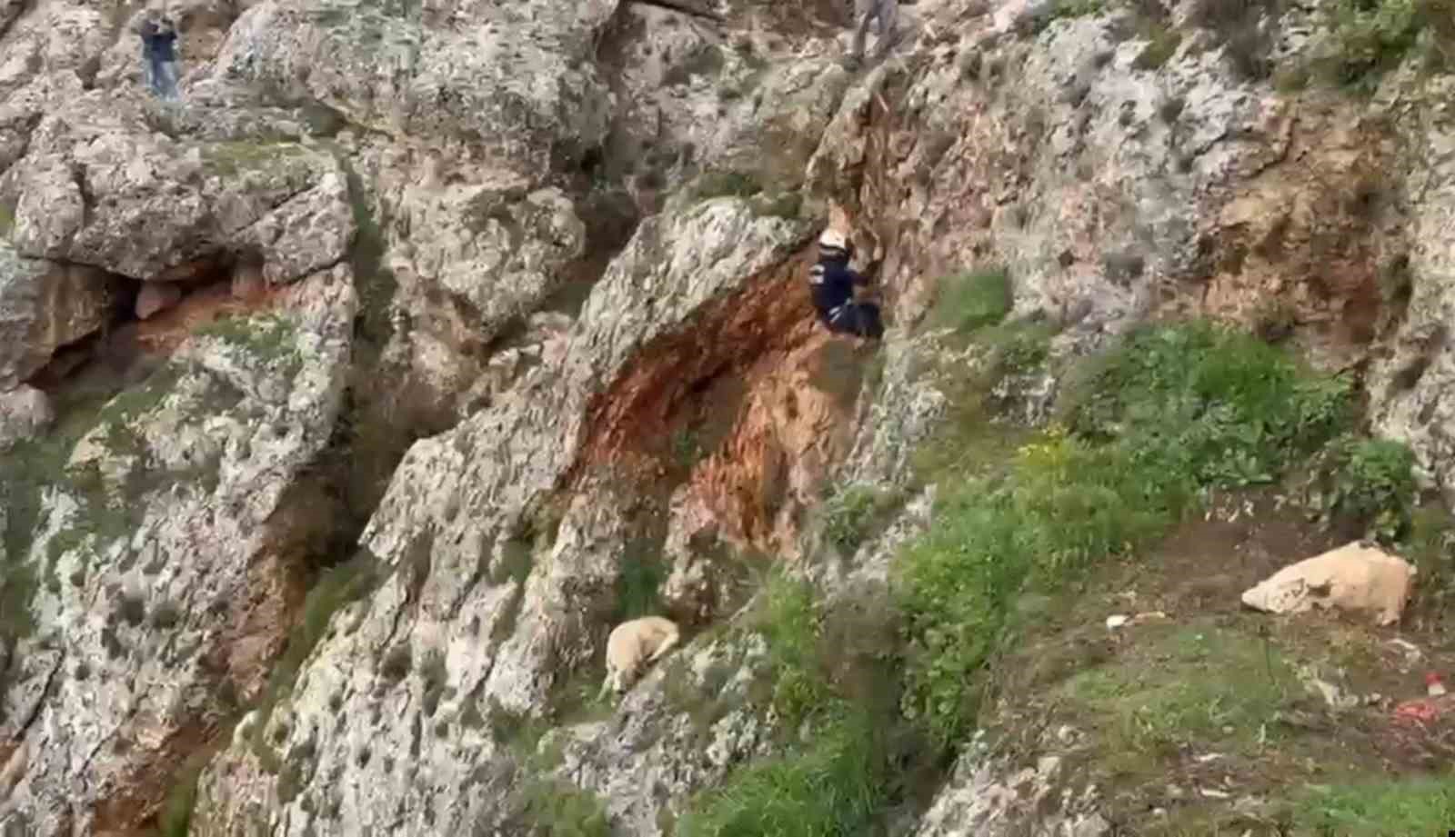 Uçurumdan düşen köpek 4 saatlik çalışmayla kurtarıldı
