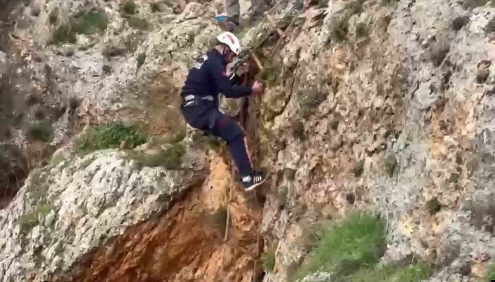 Uçurumdan düşen köpek 4 saatlik çalışmayla kurtarıldı
