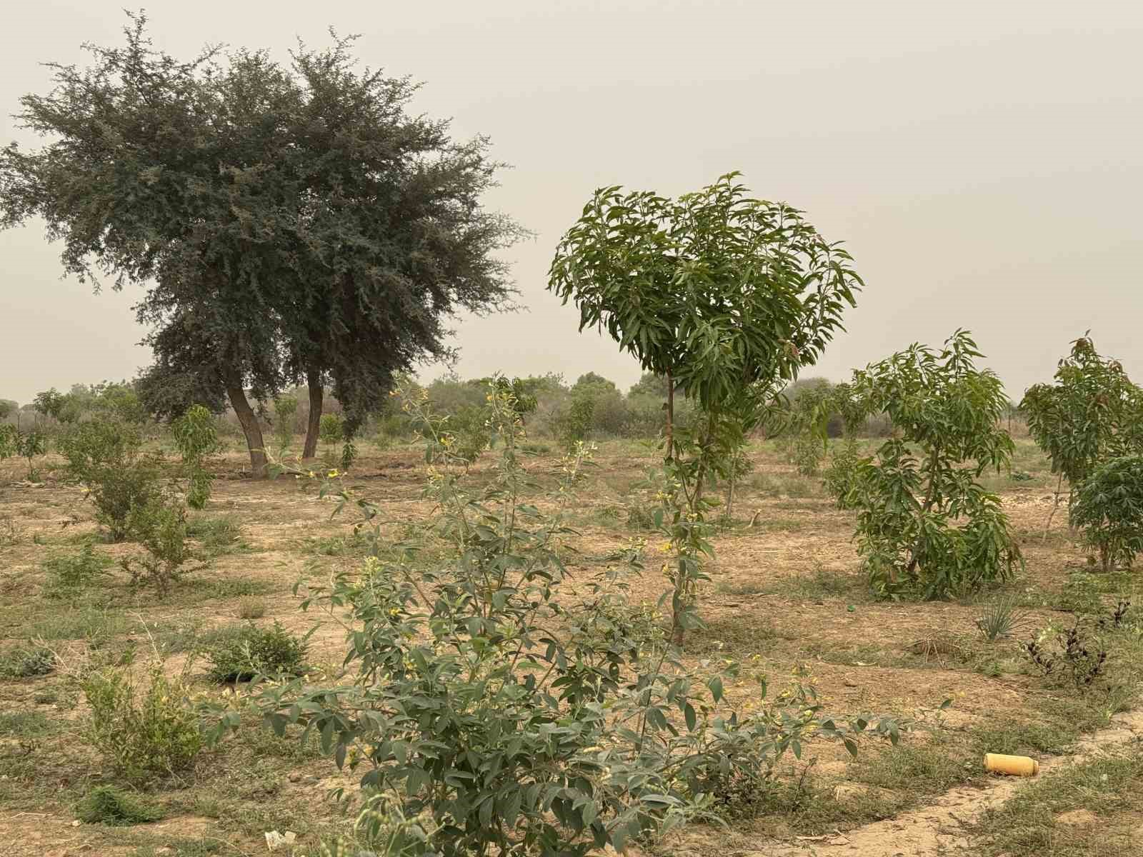 UKABDER’in kurduğu meyve bahçesi bir ailenin geçim kaynağı, bir köyün umudu oldu
