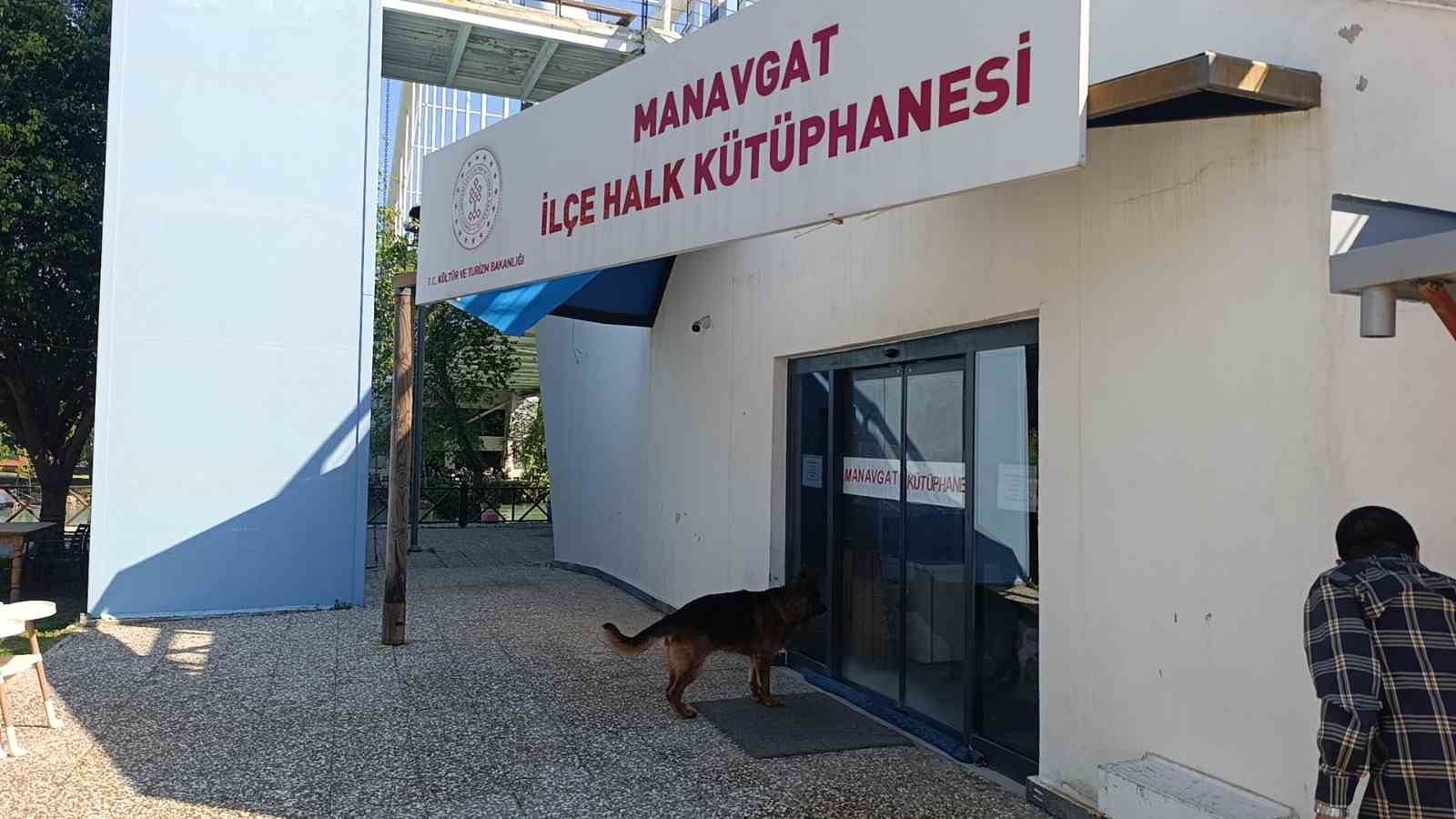 Ukraynalı kadın hayatının şokunu yaşadı, kurt köpeğiyle dalaşan kucağındaki köpeği parmağını parçaladı
