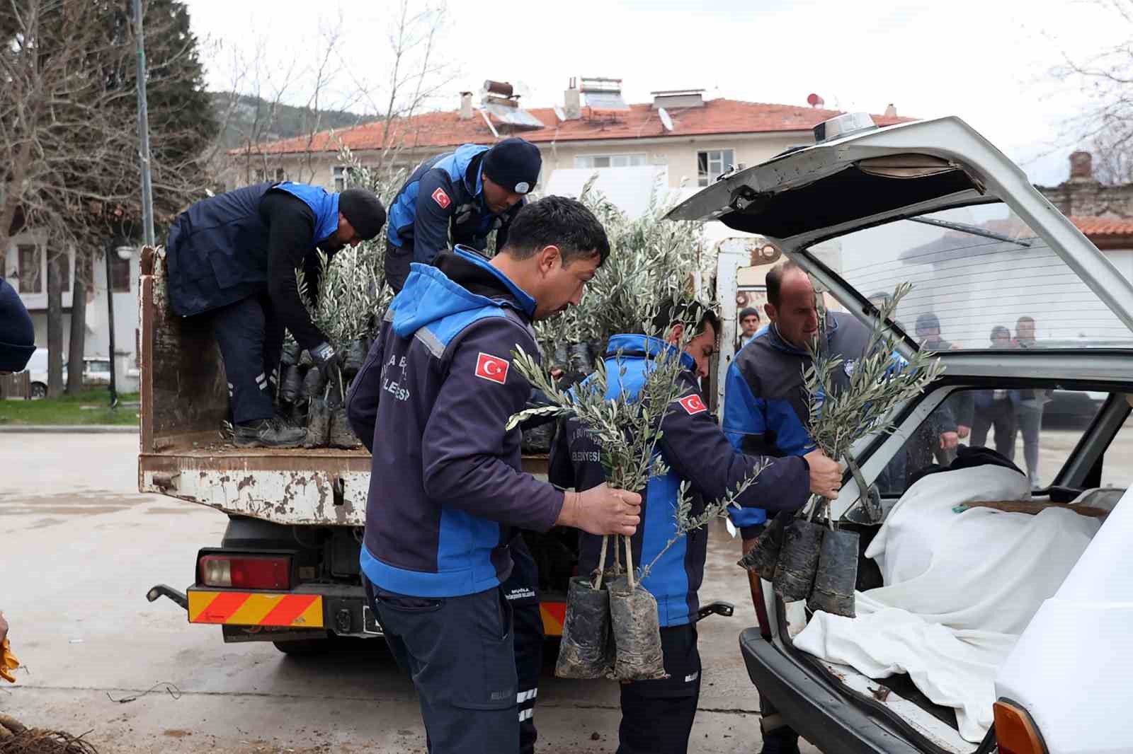 Ula’da üreticiye zeytin ve ceviz fidanı desteği
Ula’da üreticiye zeytin ve ceviz fidanı desteği