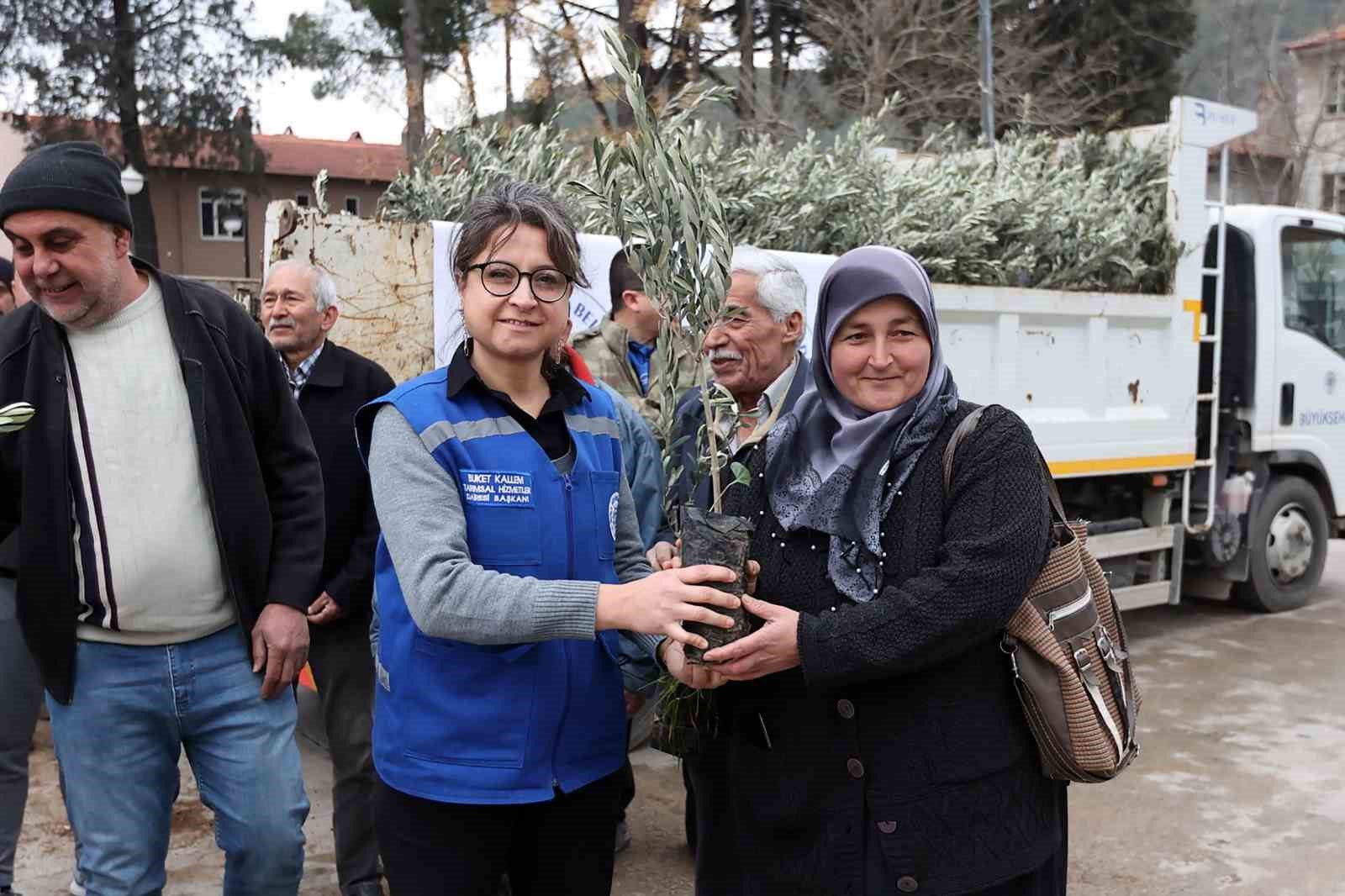 Ula’da üreticiye zeytin ve ceviz fidanı desteği
Ula’da üreticiye zeytin ve ceviz fidanı desteği