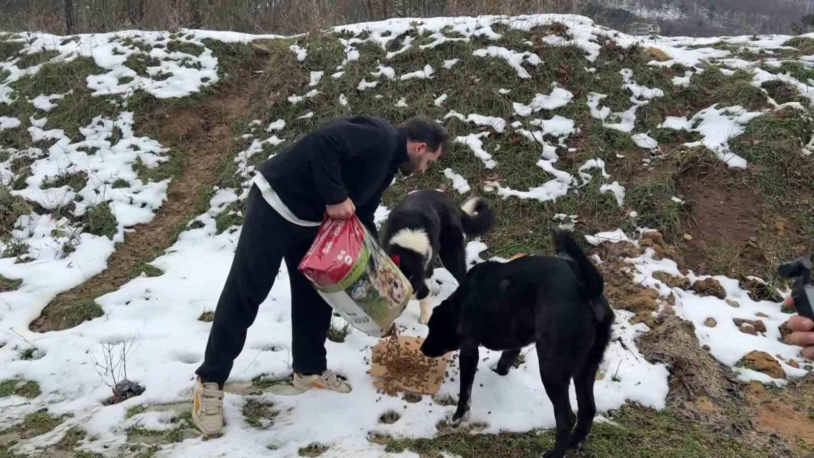 Uludağ’da aç kalan köpeklerin imdadına hayvanseverler yetişti
