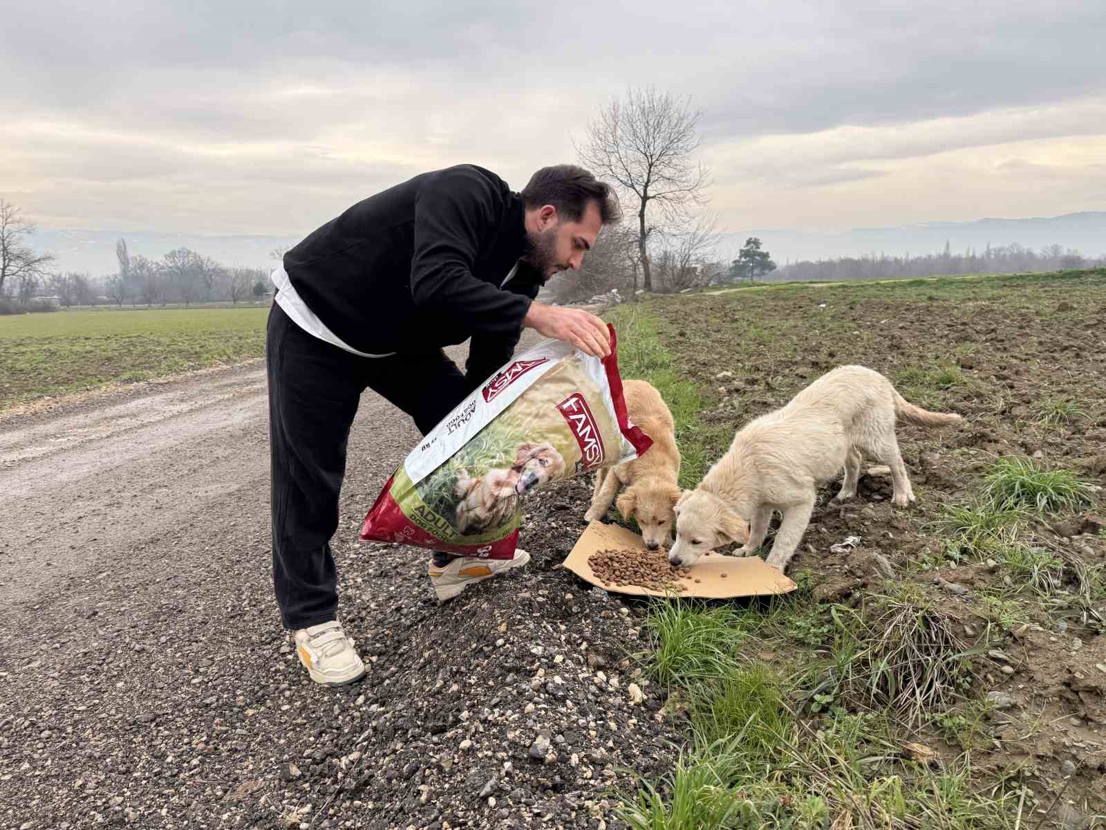 Uludağ’da aç kalan köpeklerin imdadına hayvanseverler yetişti
