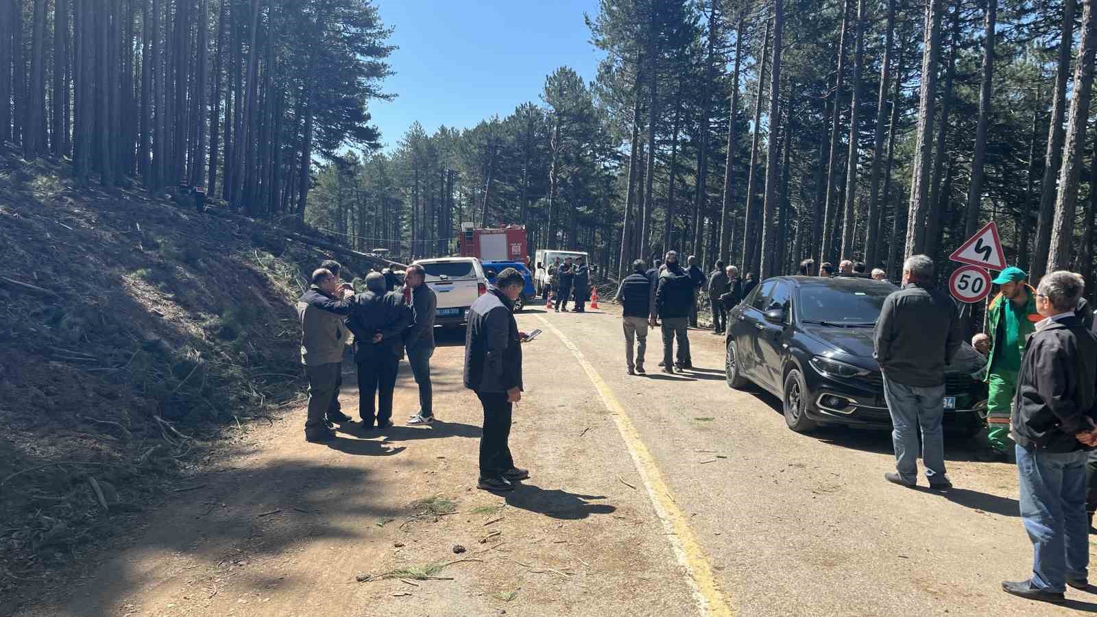 Uludağ’da inanılmaz olay...Kesilen ağaç seyir halindeki kamyonetin üzerine devrildi: 1 ölü
