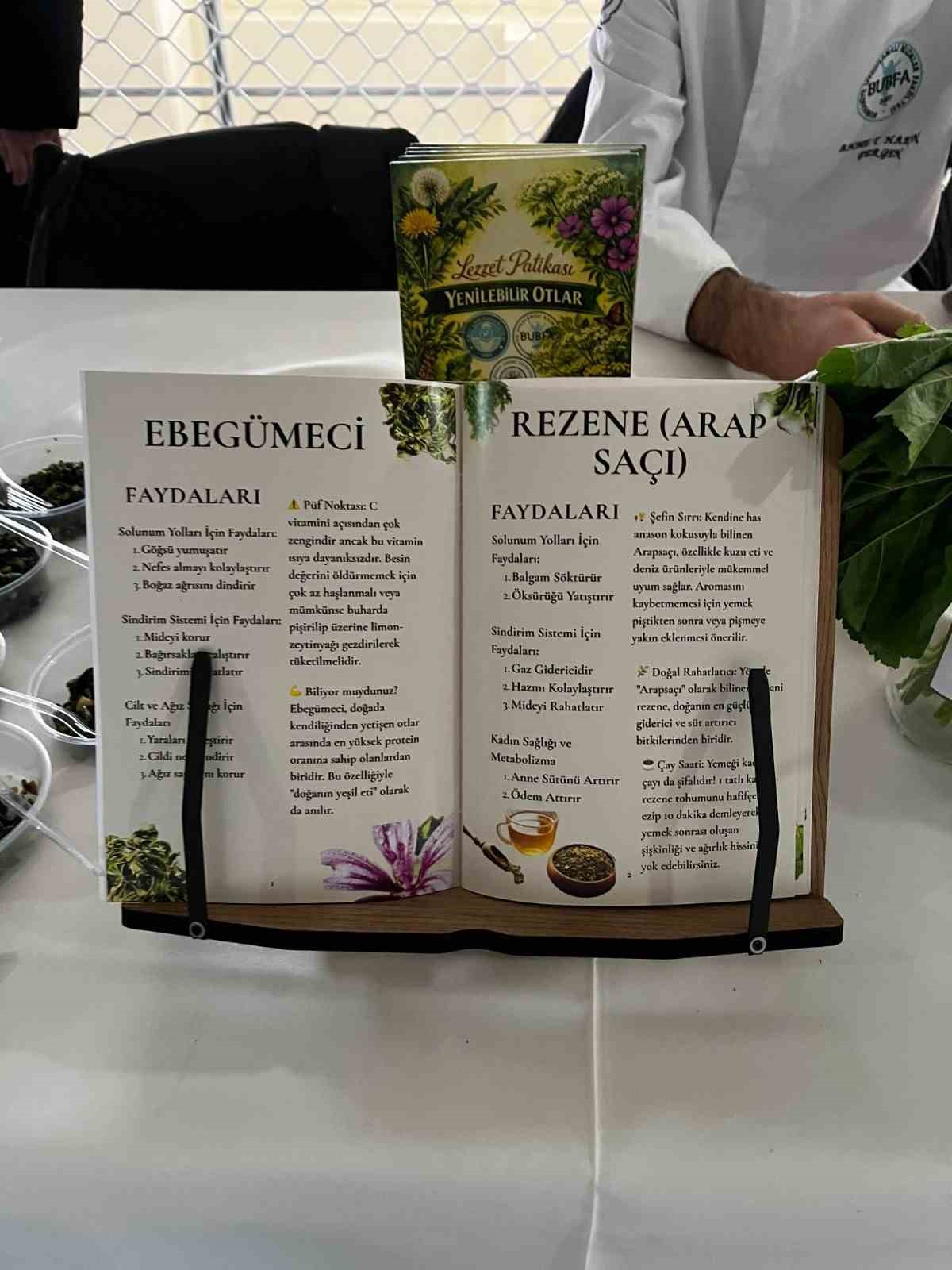 Üniversiteliler Yenilebilir Otlara Yönelik Proje yaptı
