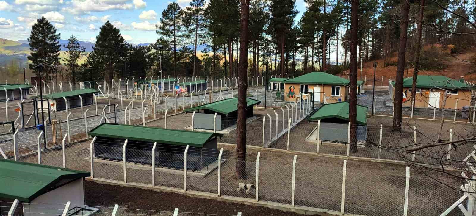 Ünye’de sahipsiz hayvanlar için örnek tesis tamamlanıyor
Ünye’de sahipsiz hayvanlar için örnek tesis tamamlanıyor