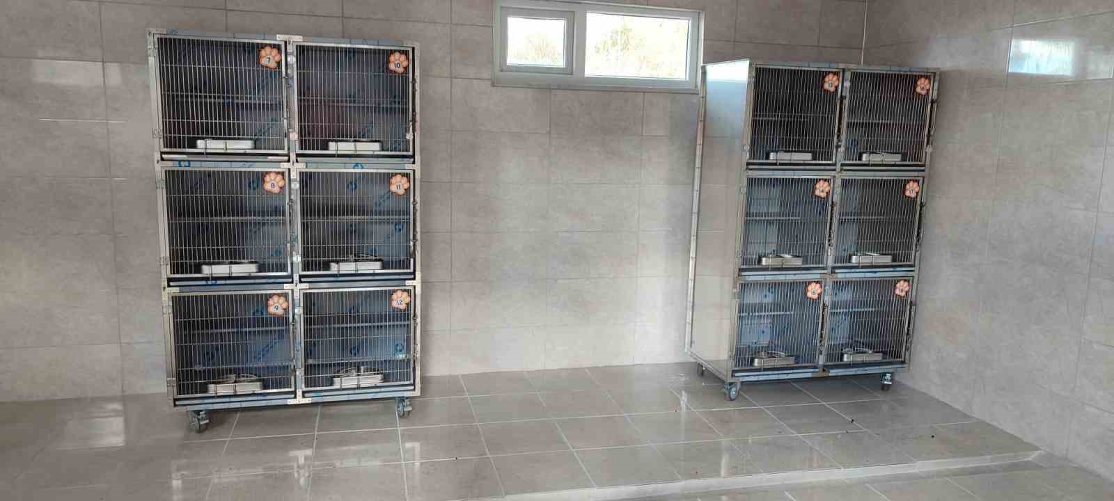 Ünye’de sahipsiz hayvanlar için örnek tesis tamamlanıyor
Ünye’de sahipsiz hayvanlar için örnek tesis tamamlanıyor