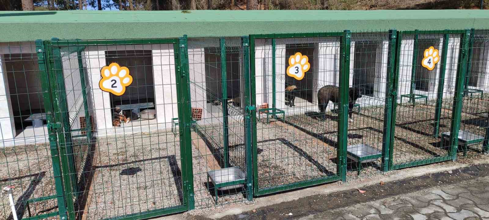 Ünye’de sahipsiz hayvanlar için örnek tesis tamamlanıyor
Ünye’de sahipsiz hayvanlar için örnek tesis tamamlanıyor