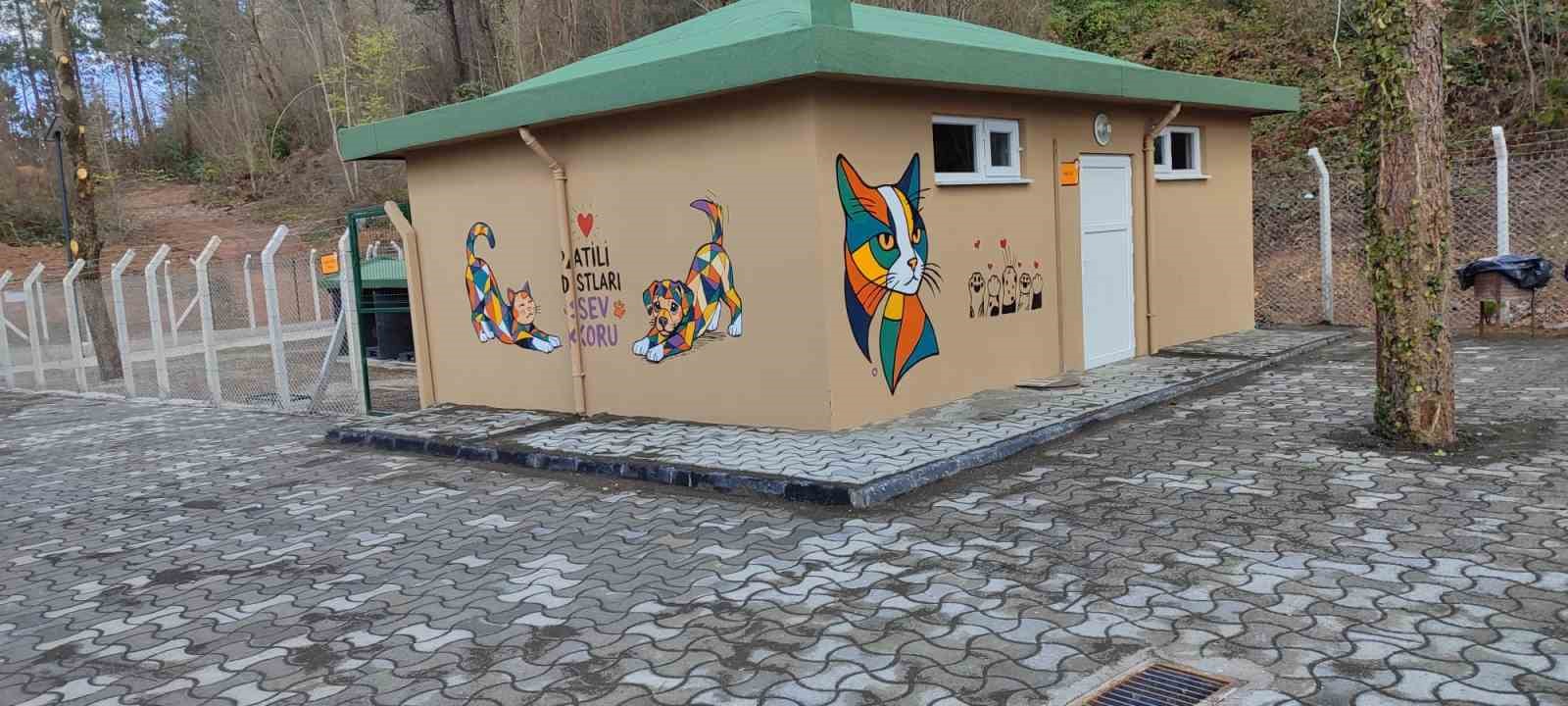 Ünye’de sahipsiz hayvanlar için örnek tesis tamamlanıyor
Ünye’de sahipsiz hayvanlar için örnek tesis tamamlanıyor