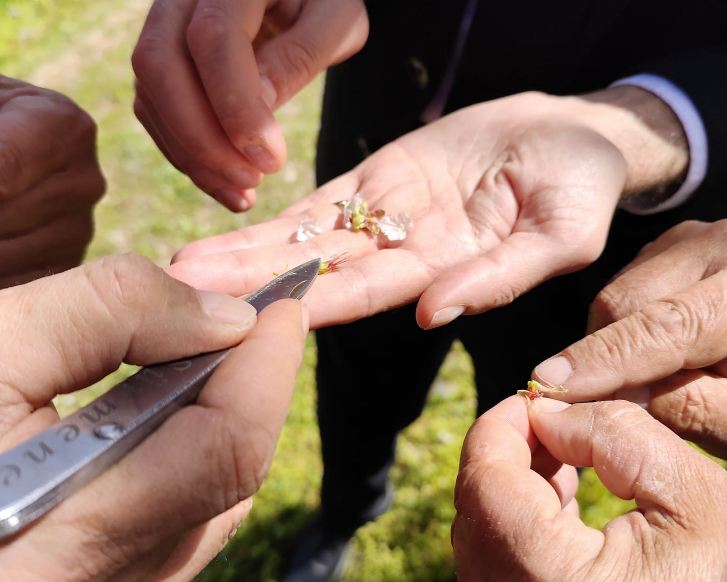 Uşak İl Tarım ve Orman Müdürlüğü ekipleri üreticiyle bir araya geldi

