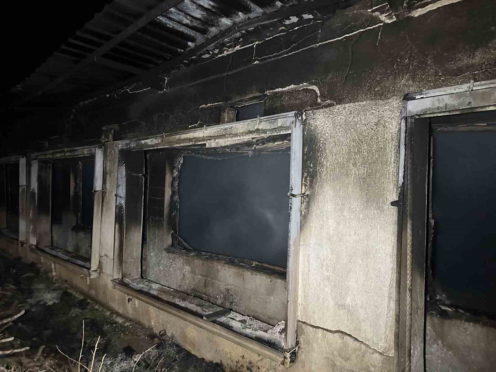 Uşak’ta boş tavuk çiftliğinde çıkan yangın korkuttu
