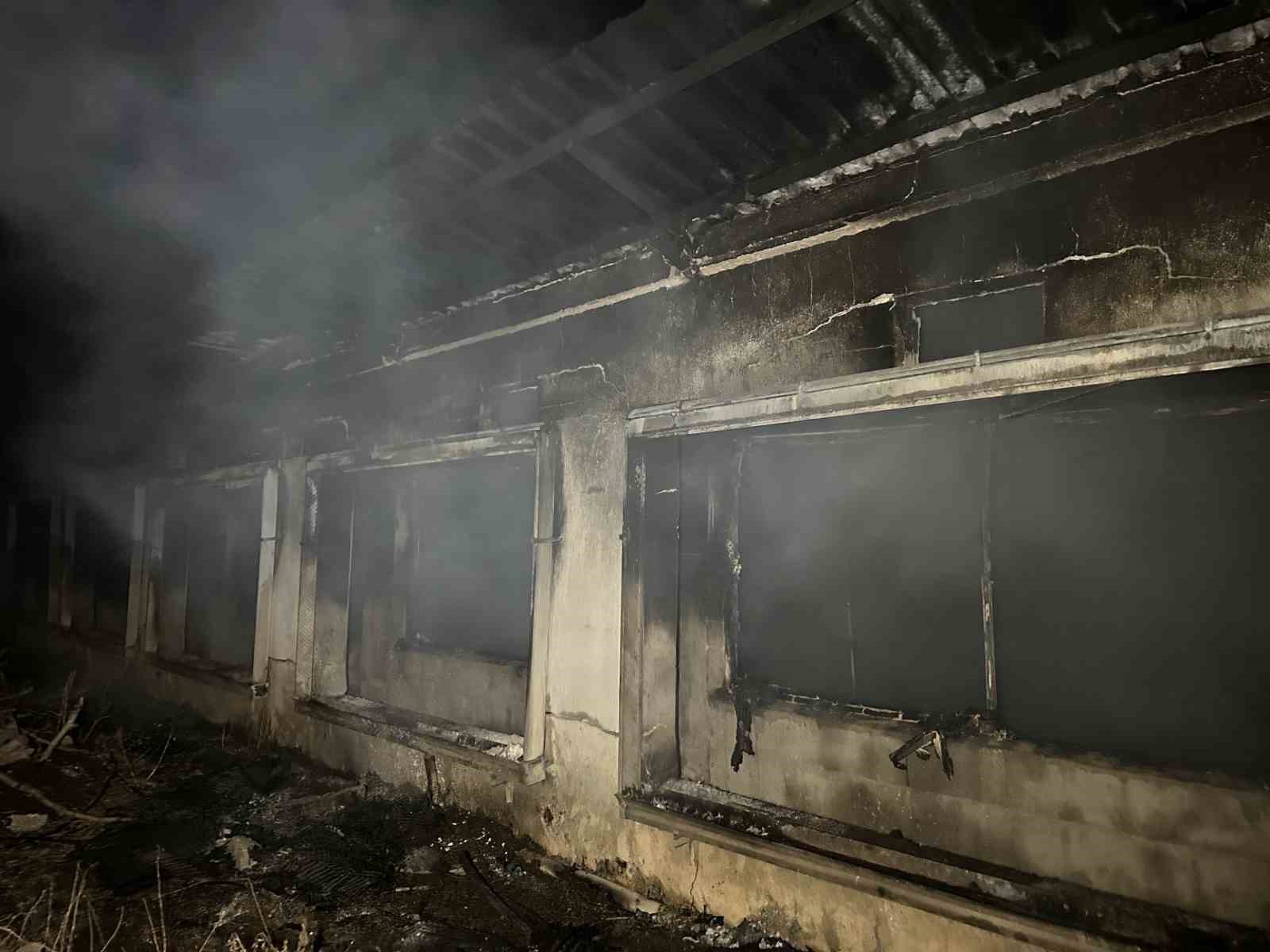 Uşak’ta boş tavuk çiftliğinde çıkan yangın korkuttu
