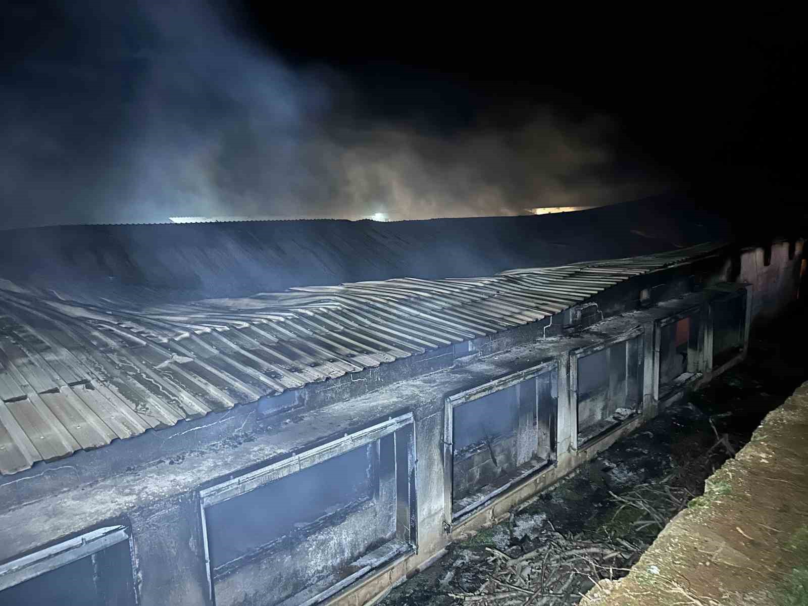 Uşak’ta boş tavuk çiftliğinde çıkan yangın korkuttu
