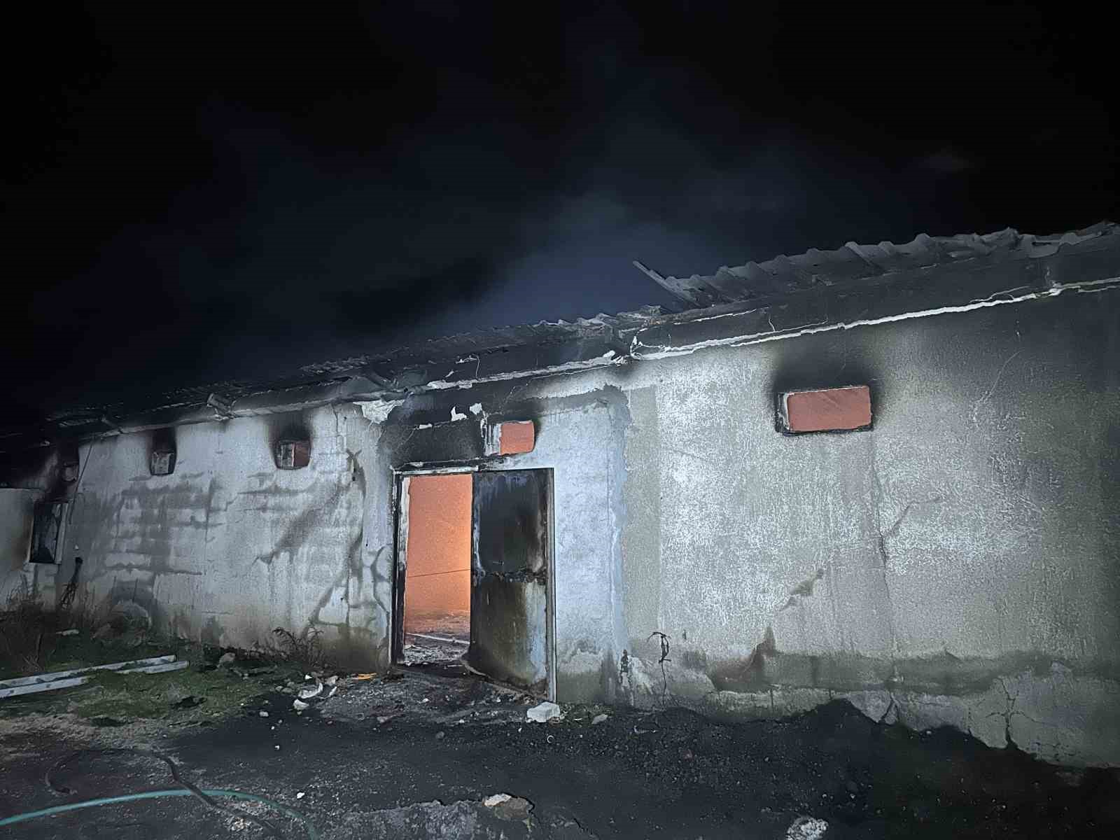 Uşak’ta boş tavuk çiftliğinde çıkan yangın korkuttu
