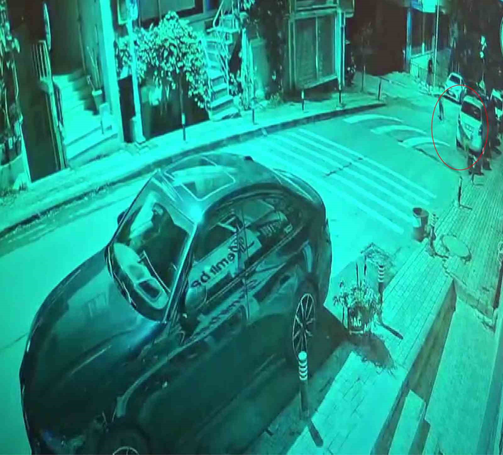 Üsküdar’da sokak köpekleri paniğe neden oldu: Başıboş sürünün bir araca zarar verdiği anlar kamerada
