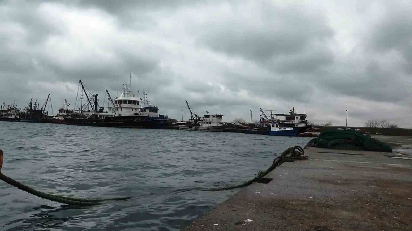 Uyanık lüfer Karadeniz zekasını kullandı: Denizlerde bol ama ağlara girmiyor
