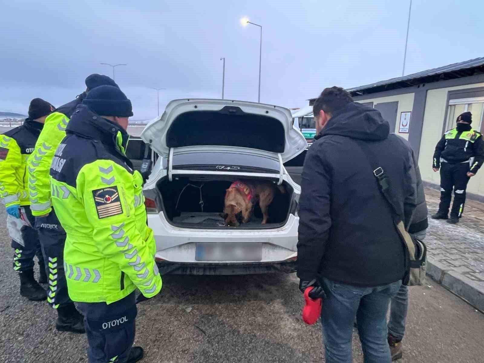 Uyuşturucu tacirleri, narkotik köpeğinden kaçamadı
