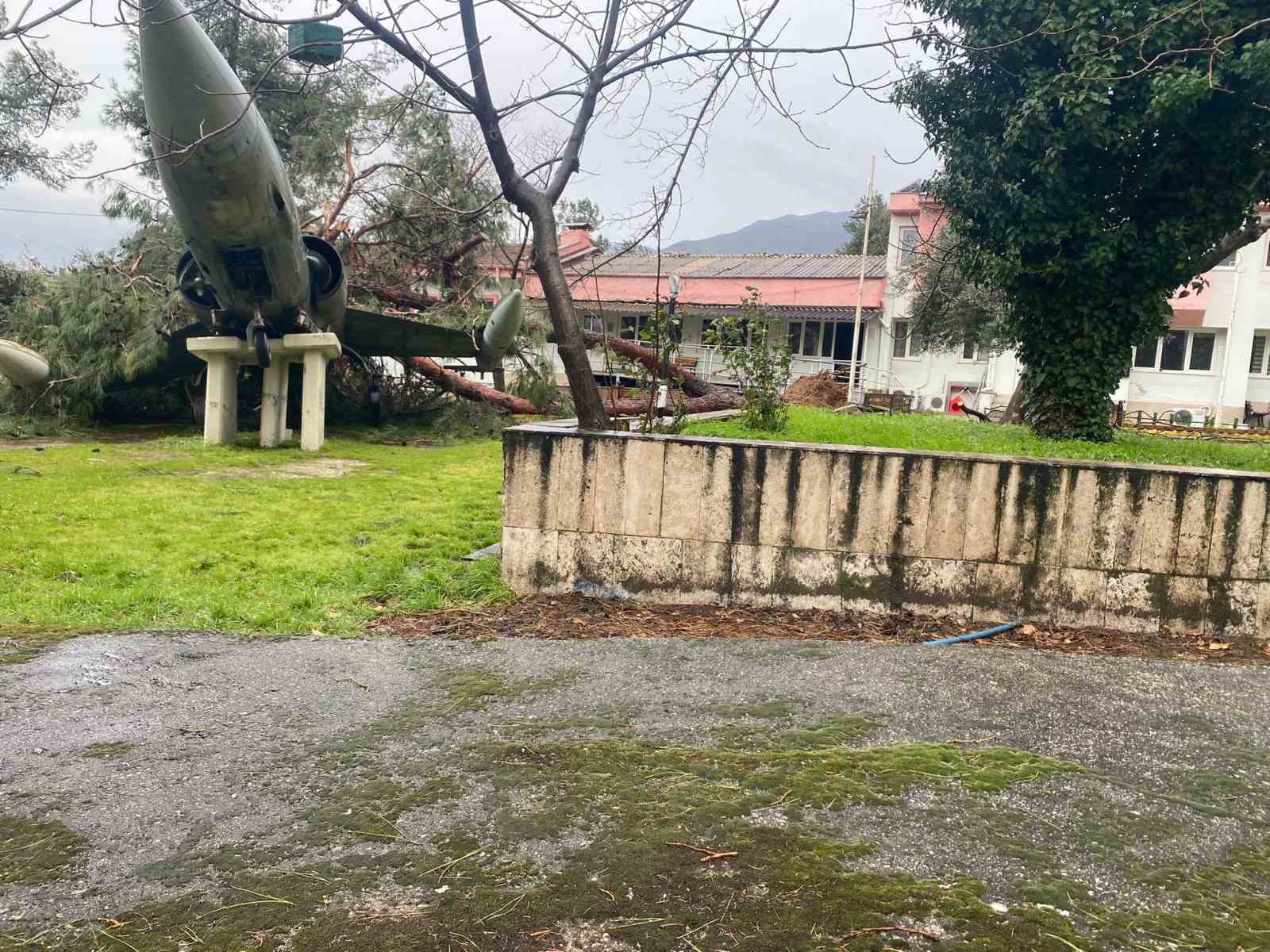 Üzerine ağaç düşen uçak zarar gördü
