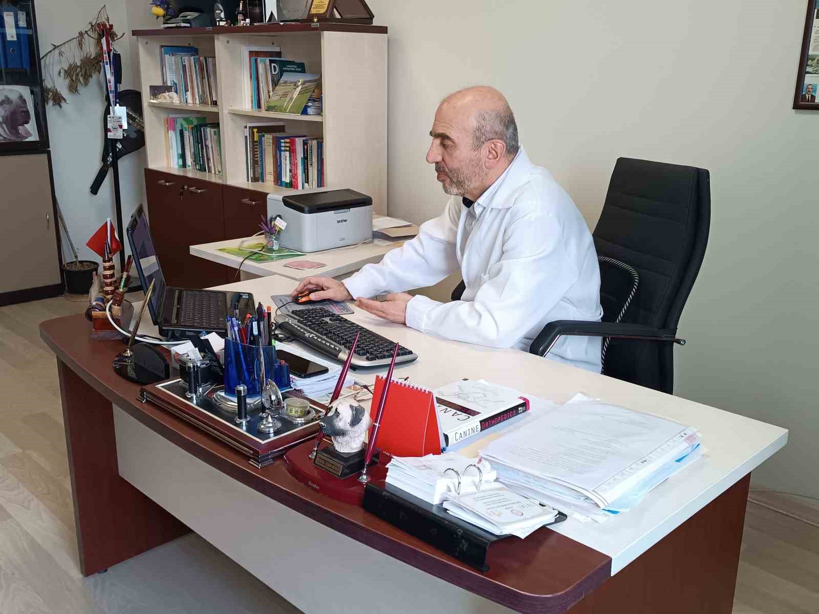 Uzman tavsiyesi: "Ayıyla karşılaşınca kaçmayın, ondan büyük görünmeye çalışın"
Uzman tavsiyesi: "Ayıyla karşılaşınca kaçmayın, ondan büyük görünmeye çalışın"