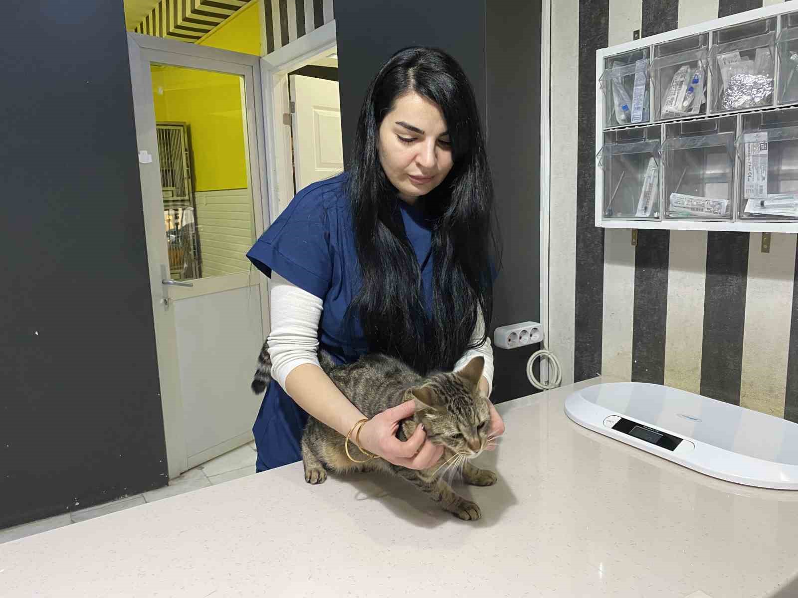 Uzman Veteriner Hekim Tuğçe Kara: "Tüyü var üşümez inancı yanlış"
