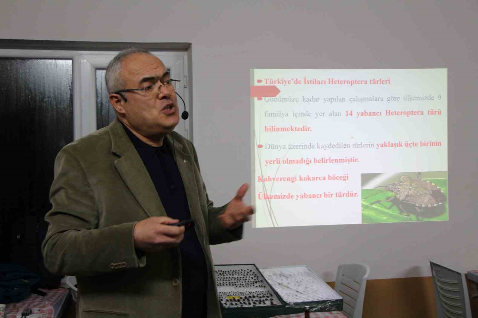 Uzmanı kahverengi kokarca için tarih verdi: "2030 yılından itibaren gündemden çıkmaya başlayacak"
