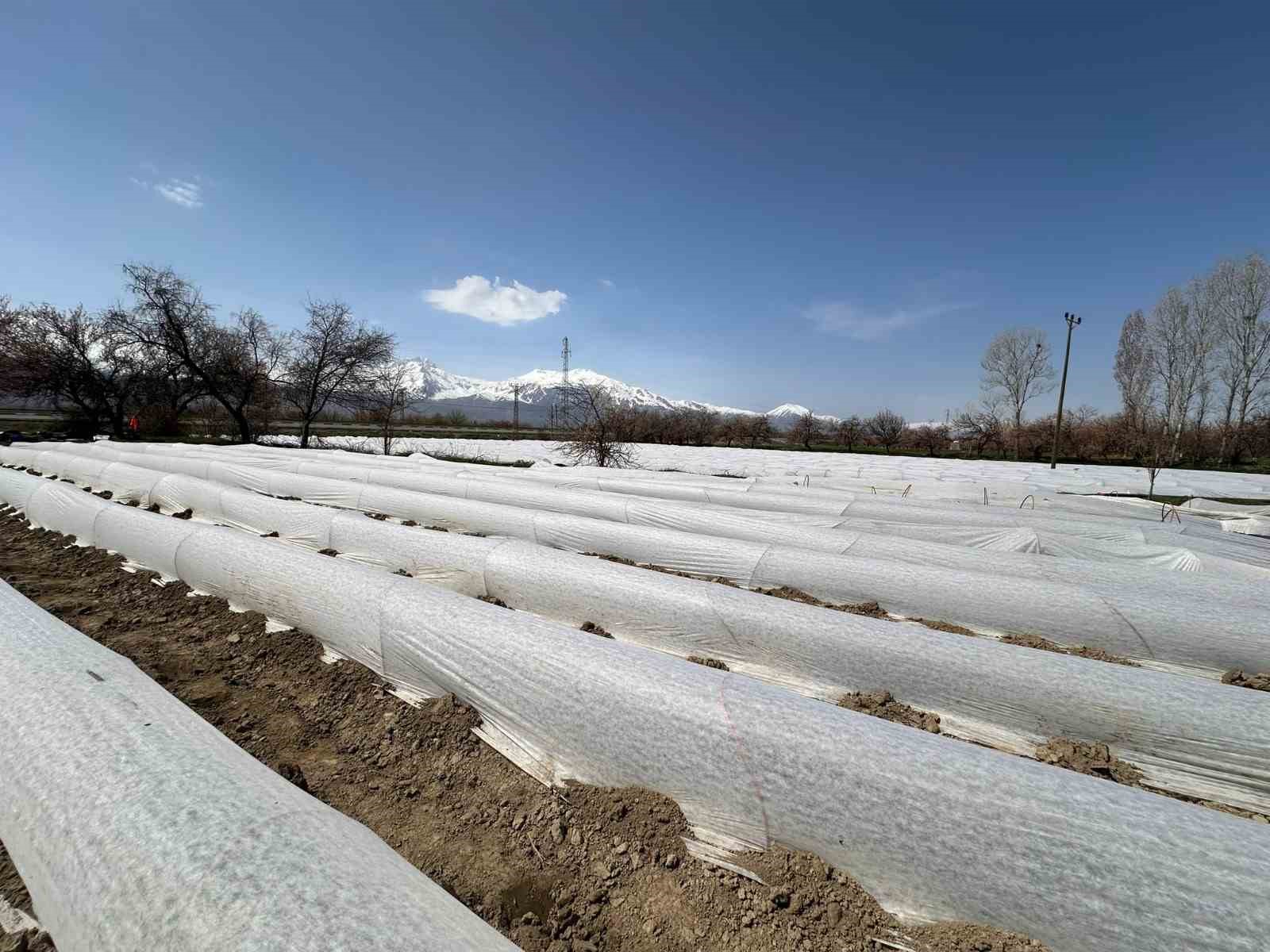 Üzümlü’de biber fideleri toprakla buluştu
