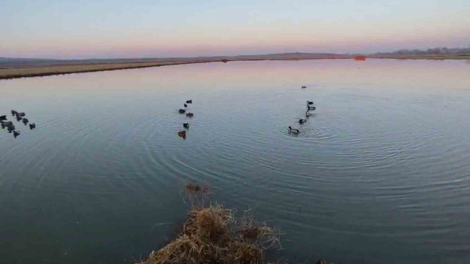 Uzunköprü’de kaçak avlanan 4 kişiye 762 bin TL ceza
